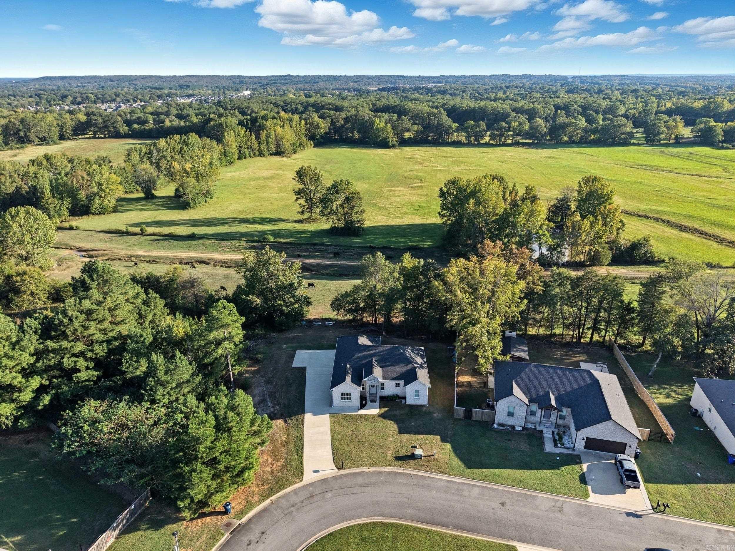 25 Indian Springs Greenbrier, AR 72058