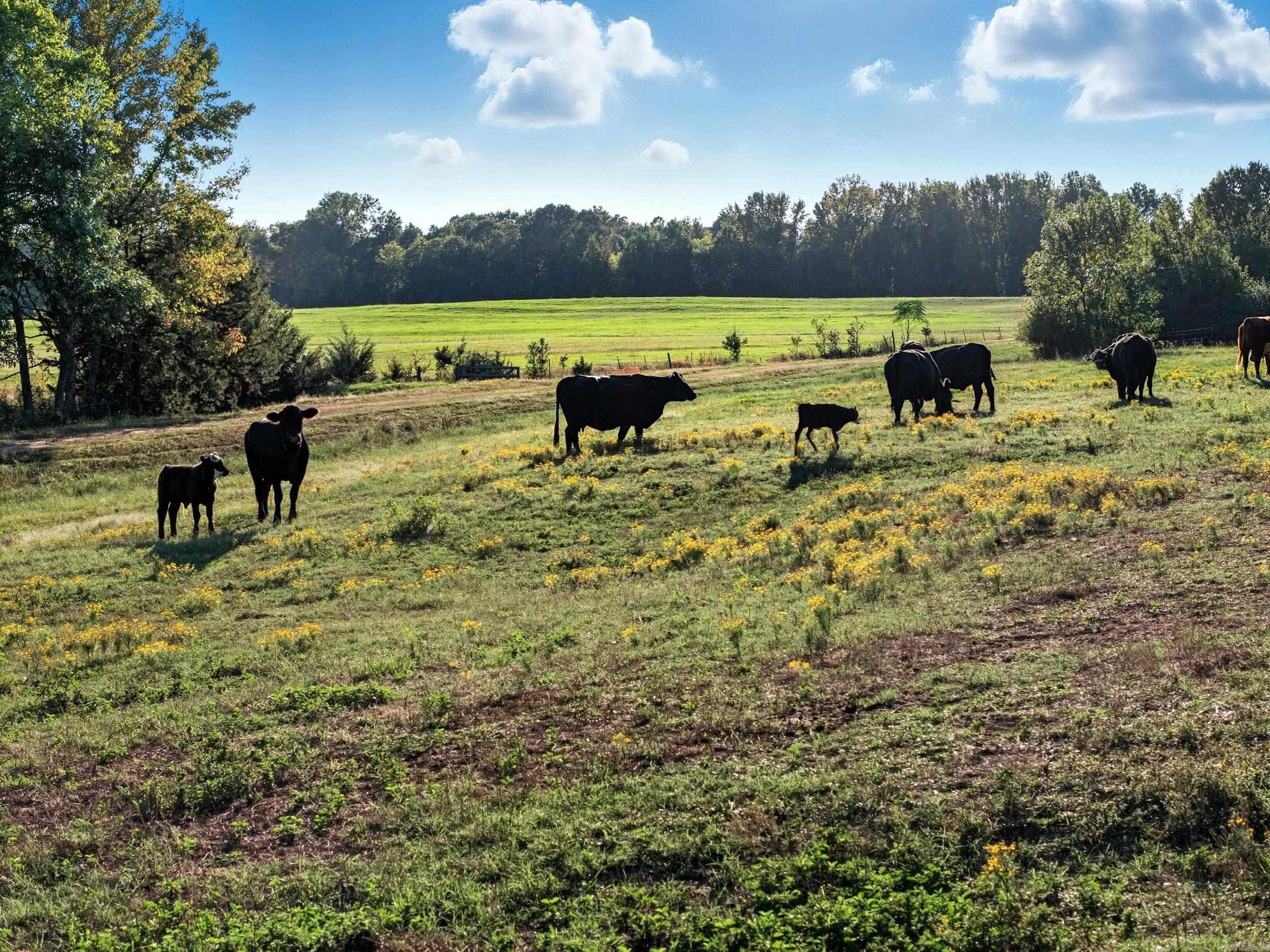 25 Indian Springs Greenbrier, AR 72058