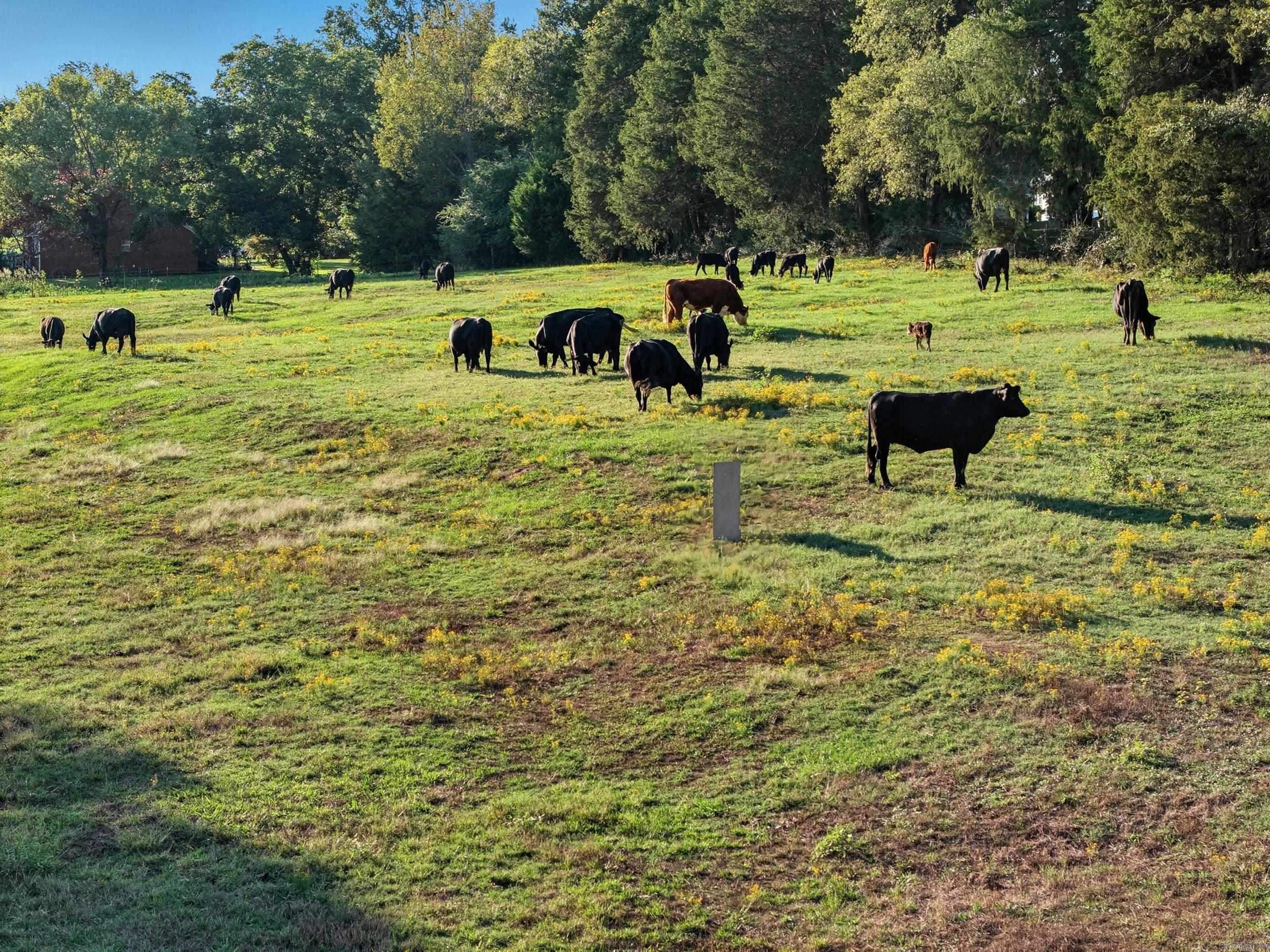 25 Indian Springs Greenbrier, AR 72058