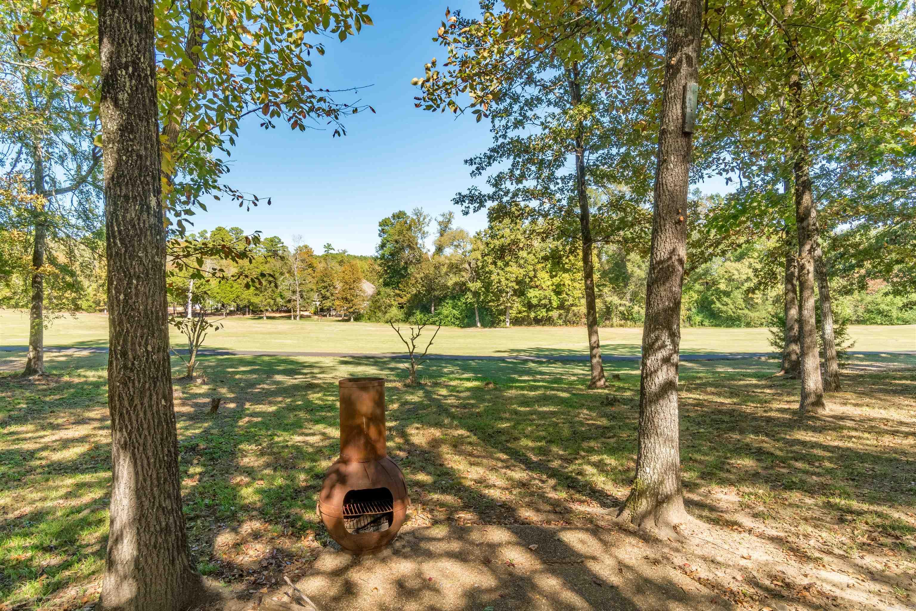 48 Pintuerero Way Hot Springs Village, AR 71909