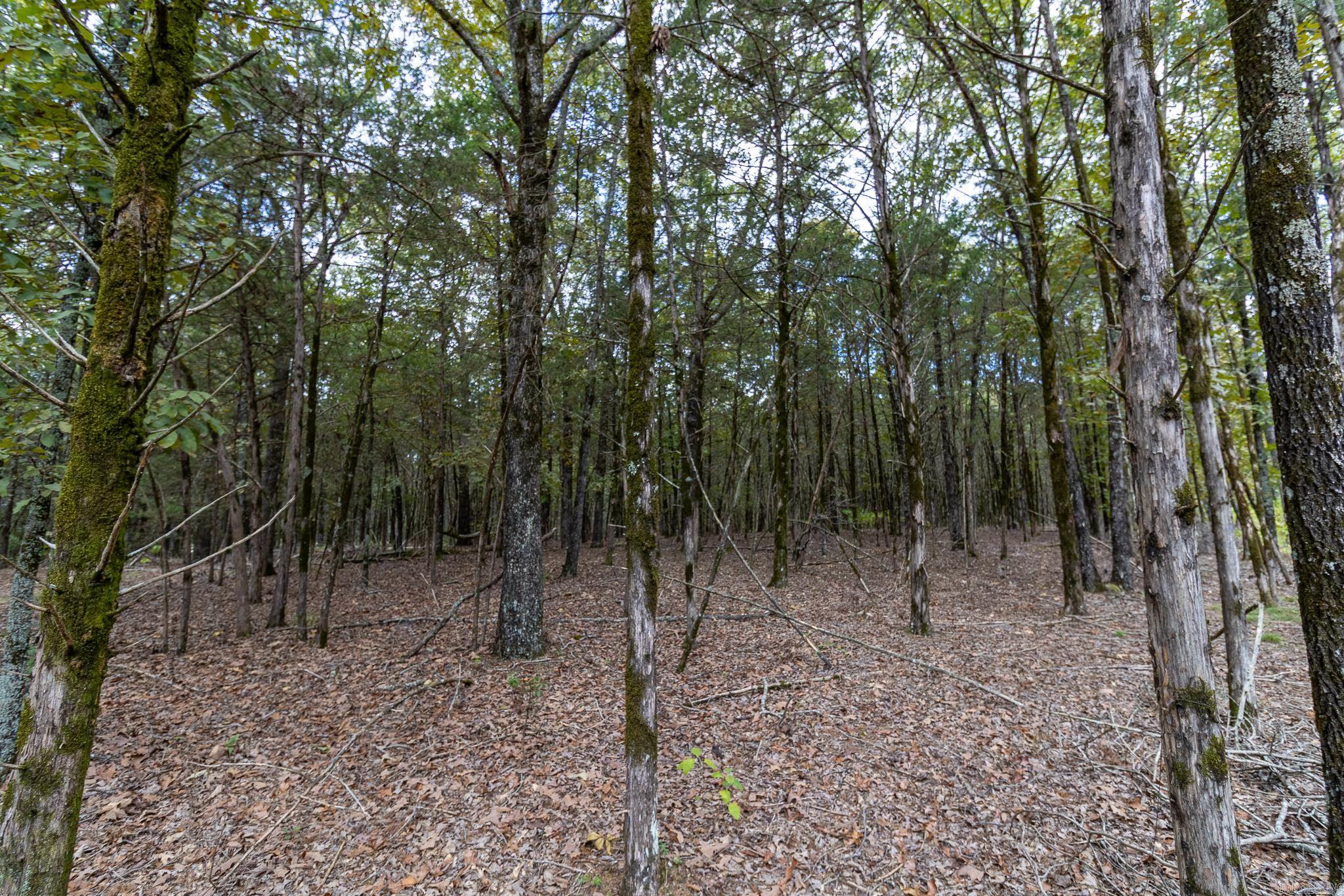 527 Thompson Bay Road  New Blaine, AR