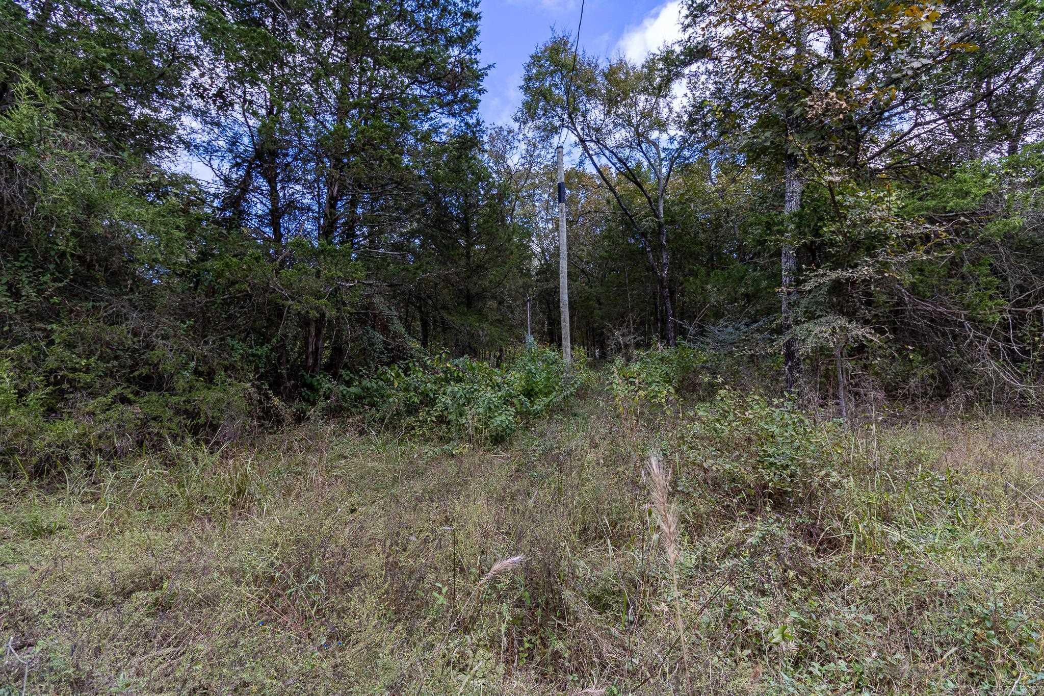 527 Thompson Bay Road  New Blaine, AR