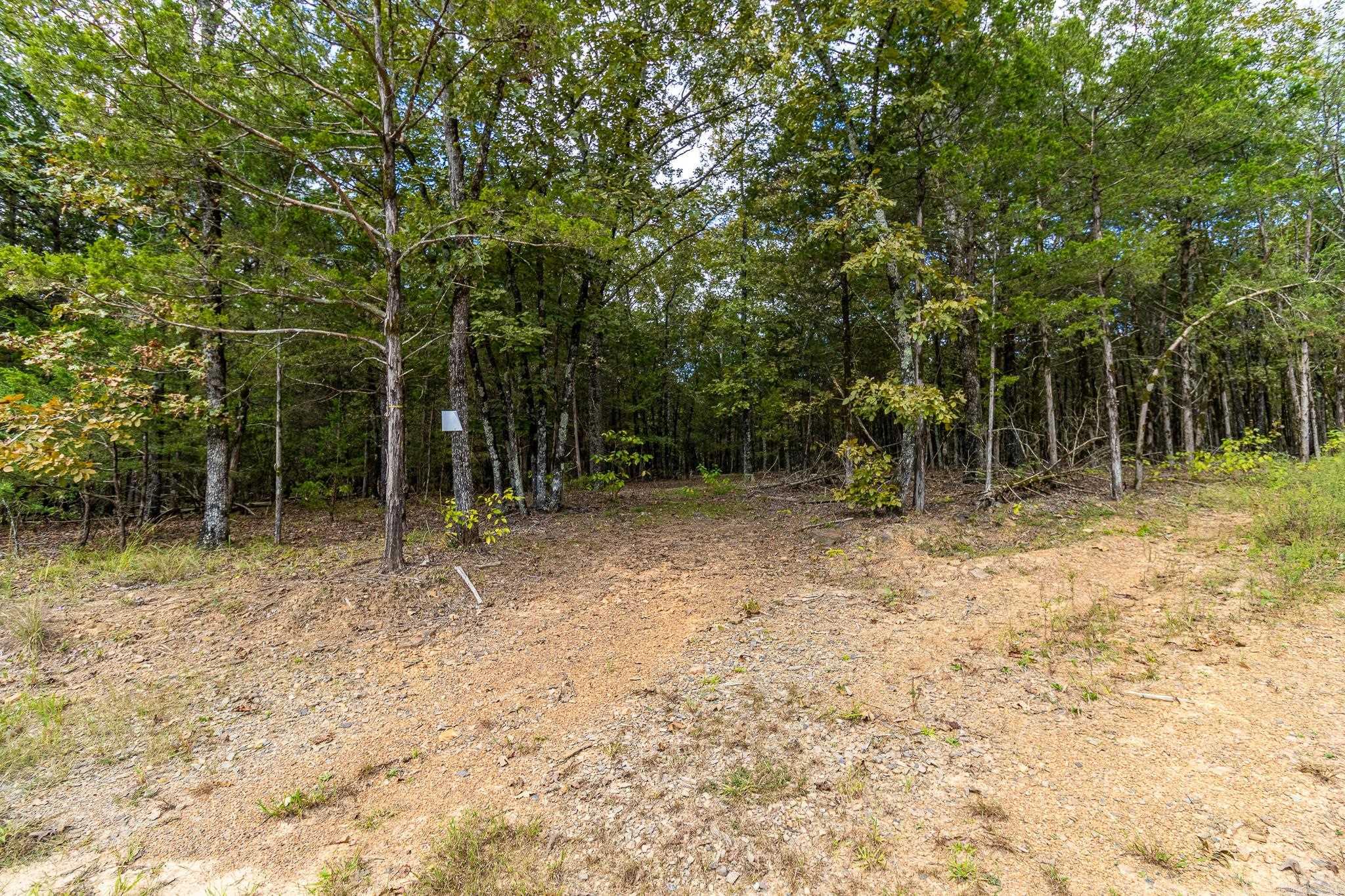 527 Thompson Bay Road  New Blaine, AR