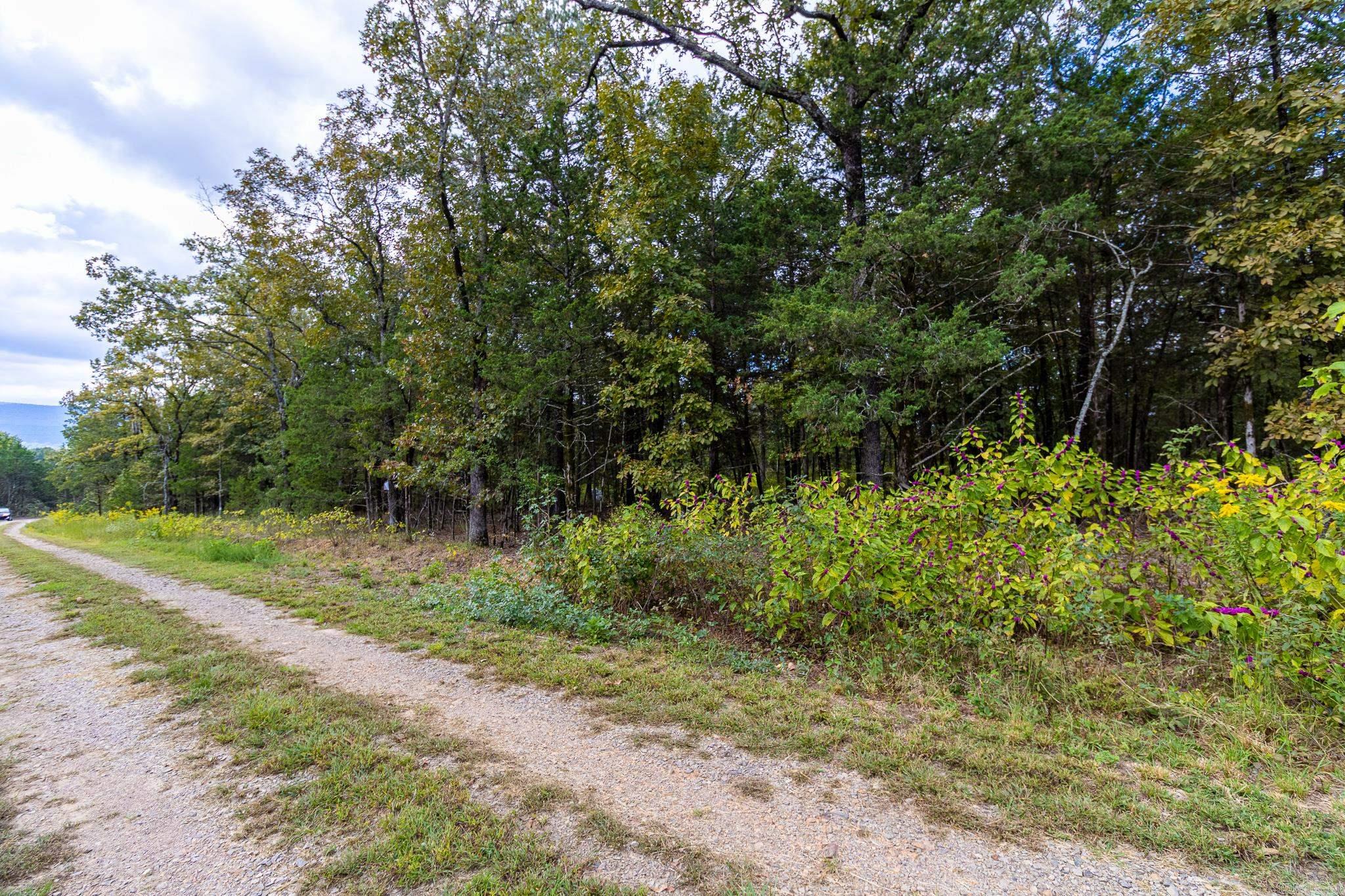 527 Thompson Bay Road  New Blaine, AR