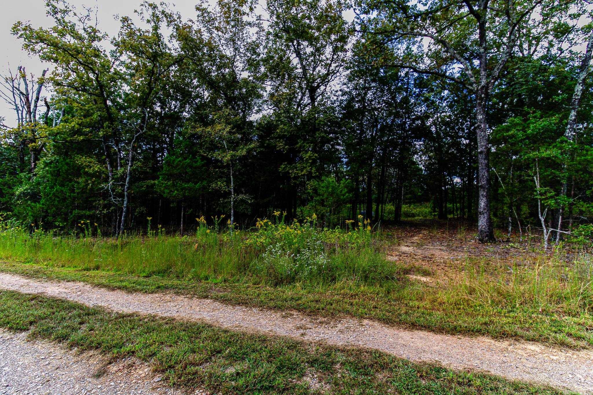 527 Thompson Bay Road  New Blaine, AR