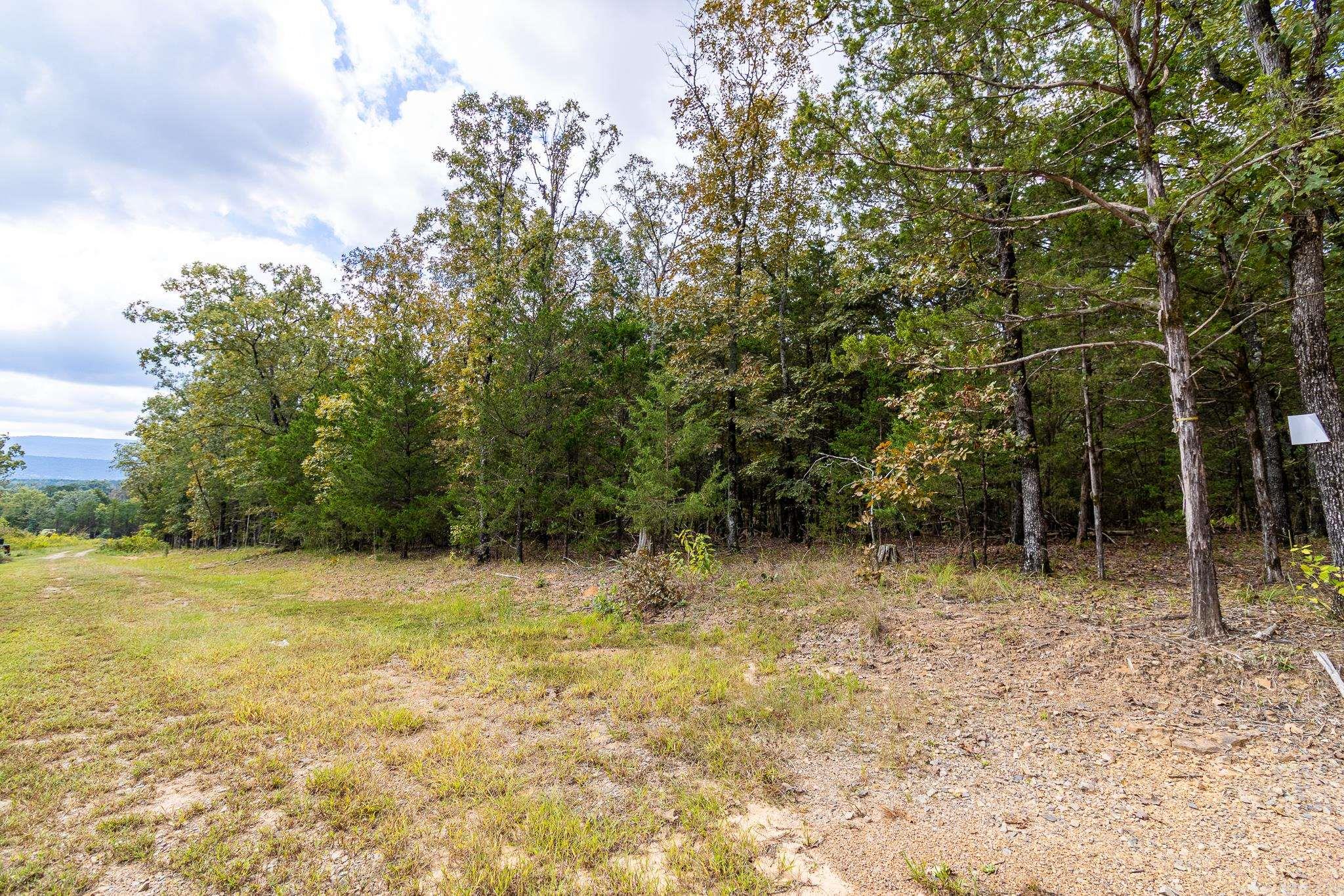 527 Thompson Bay Road  New Blaine, AR