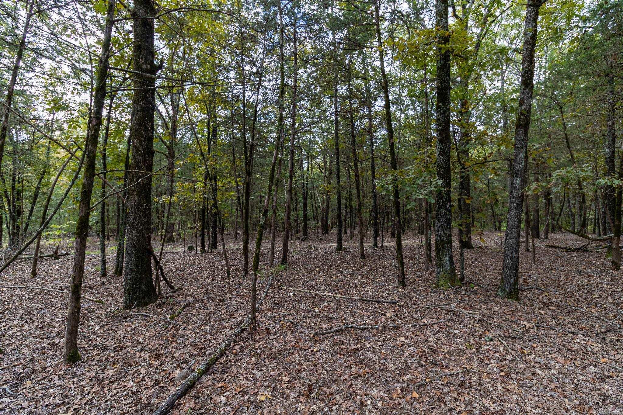 527 Thompson Bay Road  New Blaine, AR