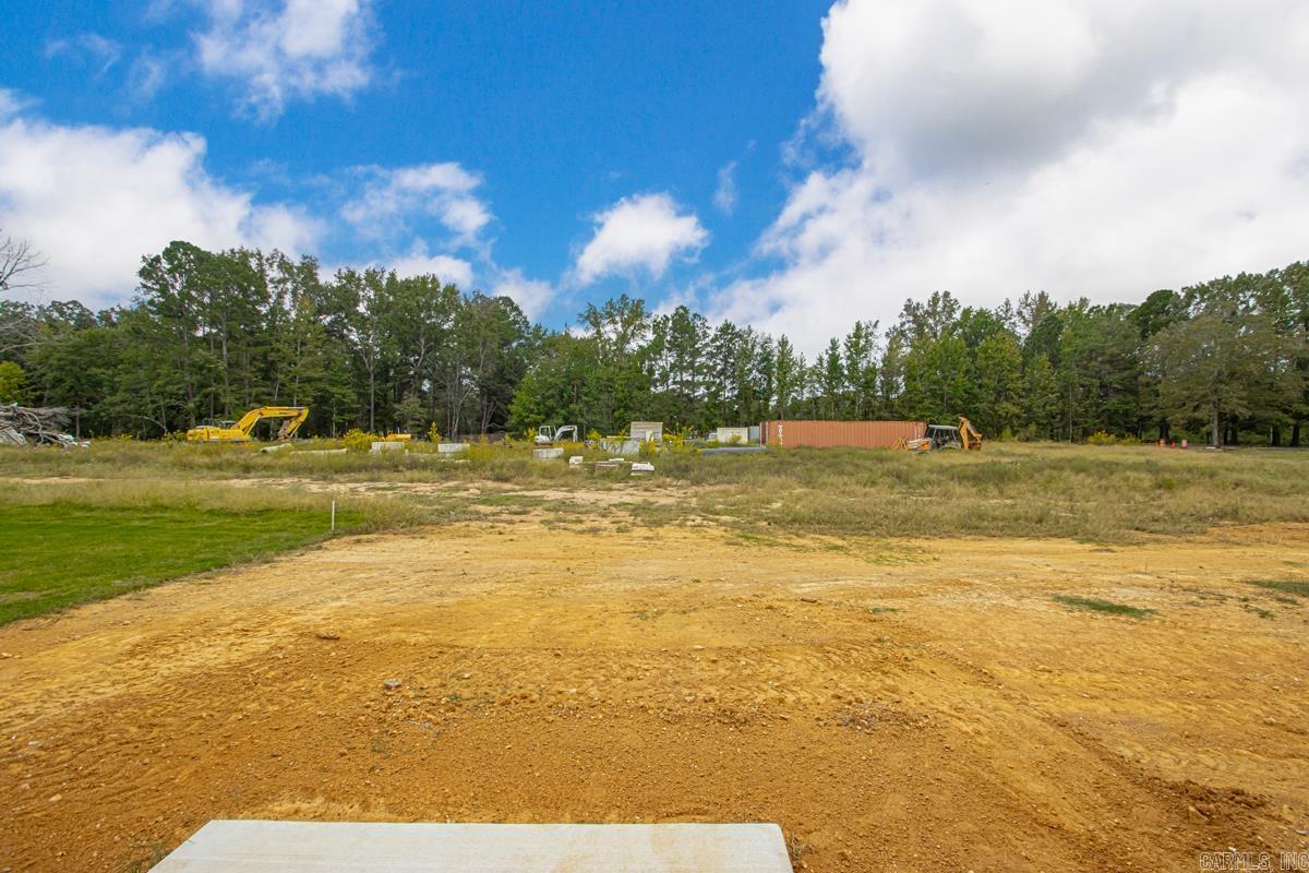 6554 AMALIE DRIVE  Alexander, AR