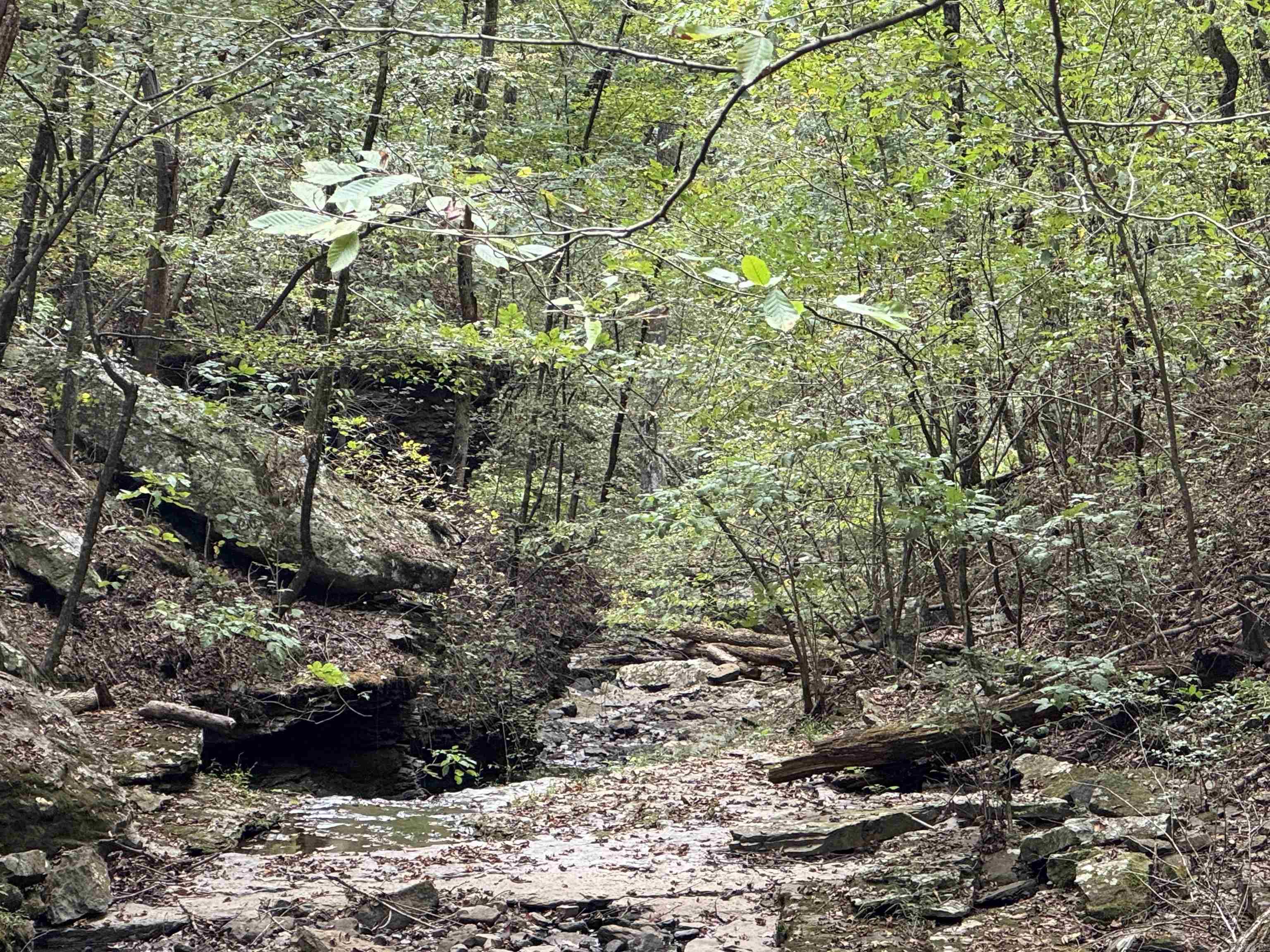 000 HWY 65  Clinton, AR