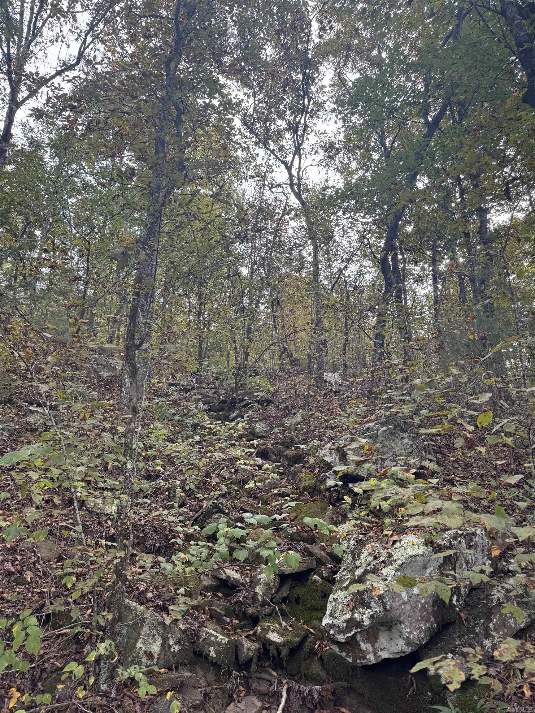 000 HWY 65  Clinton, AR