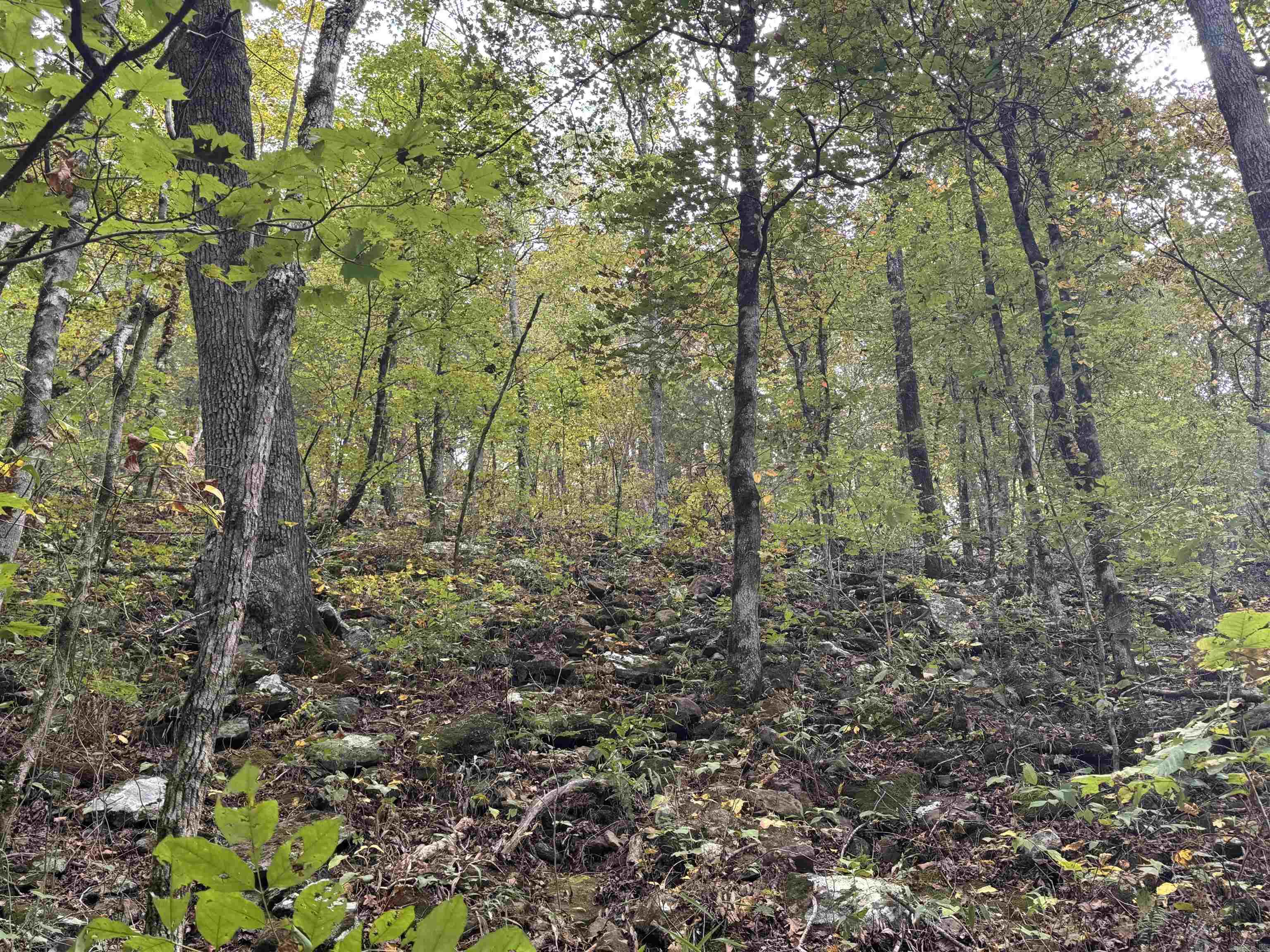 000 HWY 65  Clinton, AR