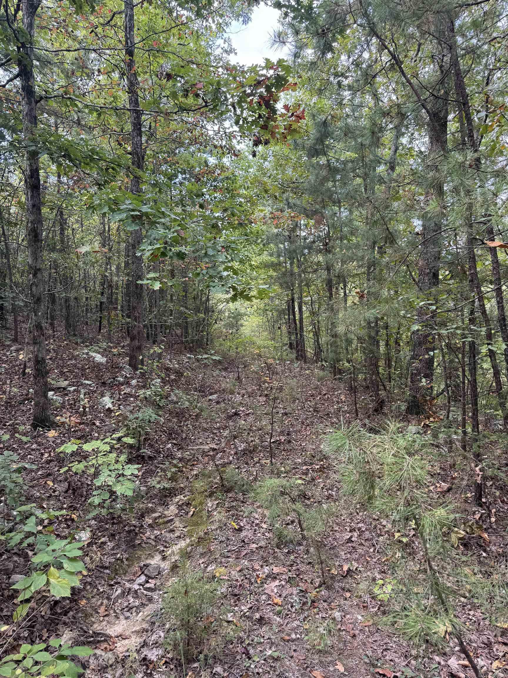 000 HWY 65  Clinton, AR