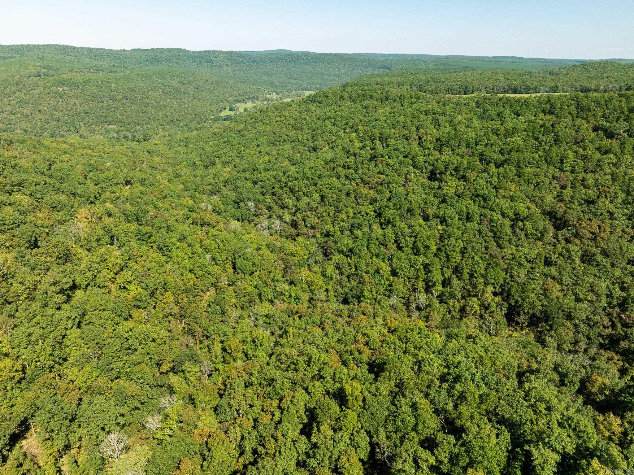 000 HWY 65  Clinton, AR