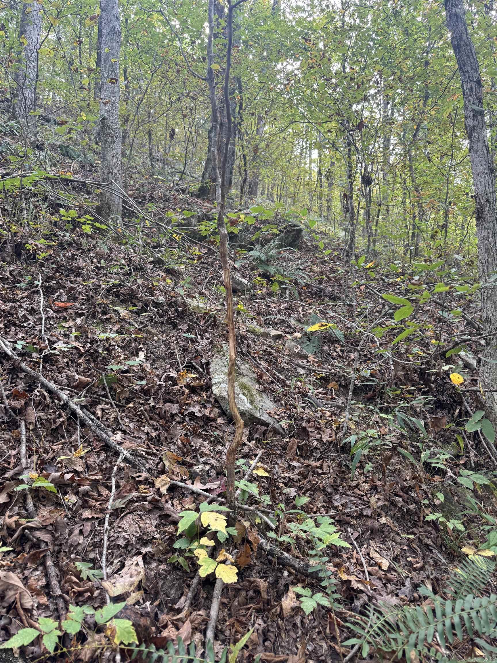 000 HWY 65  Clinton, AR