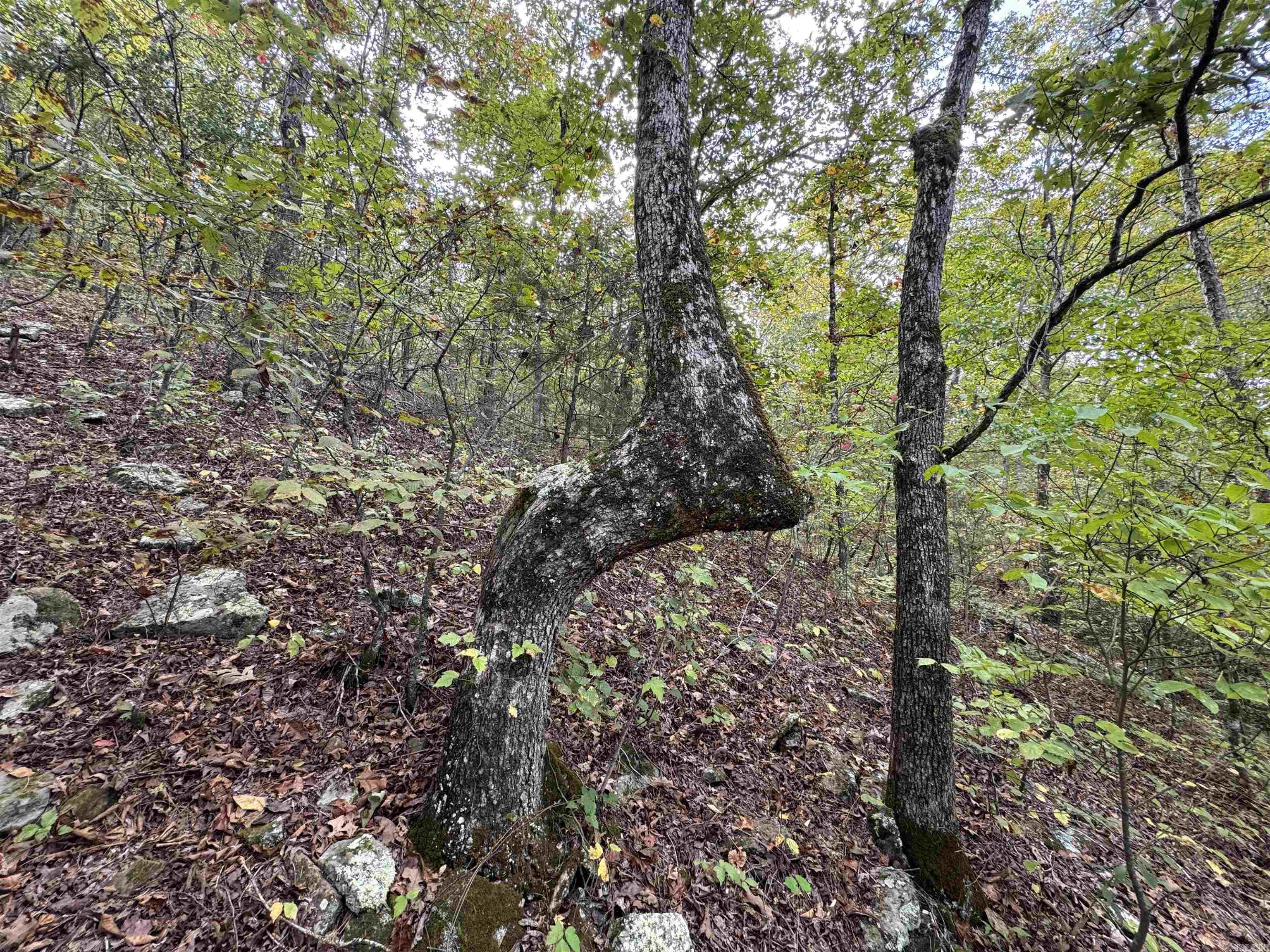 000 HWY 65  Clinton, AR