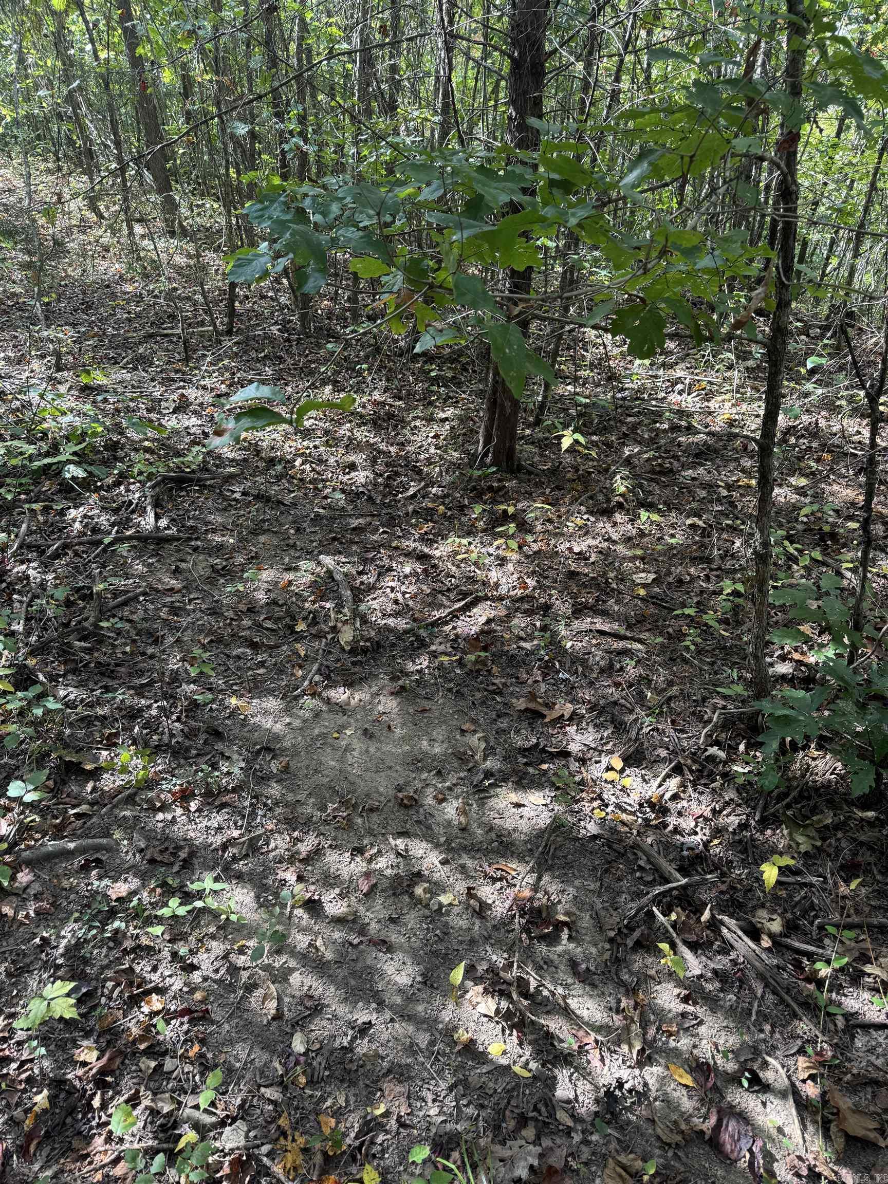 000 HWY 65  Clinton, AR