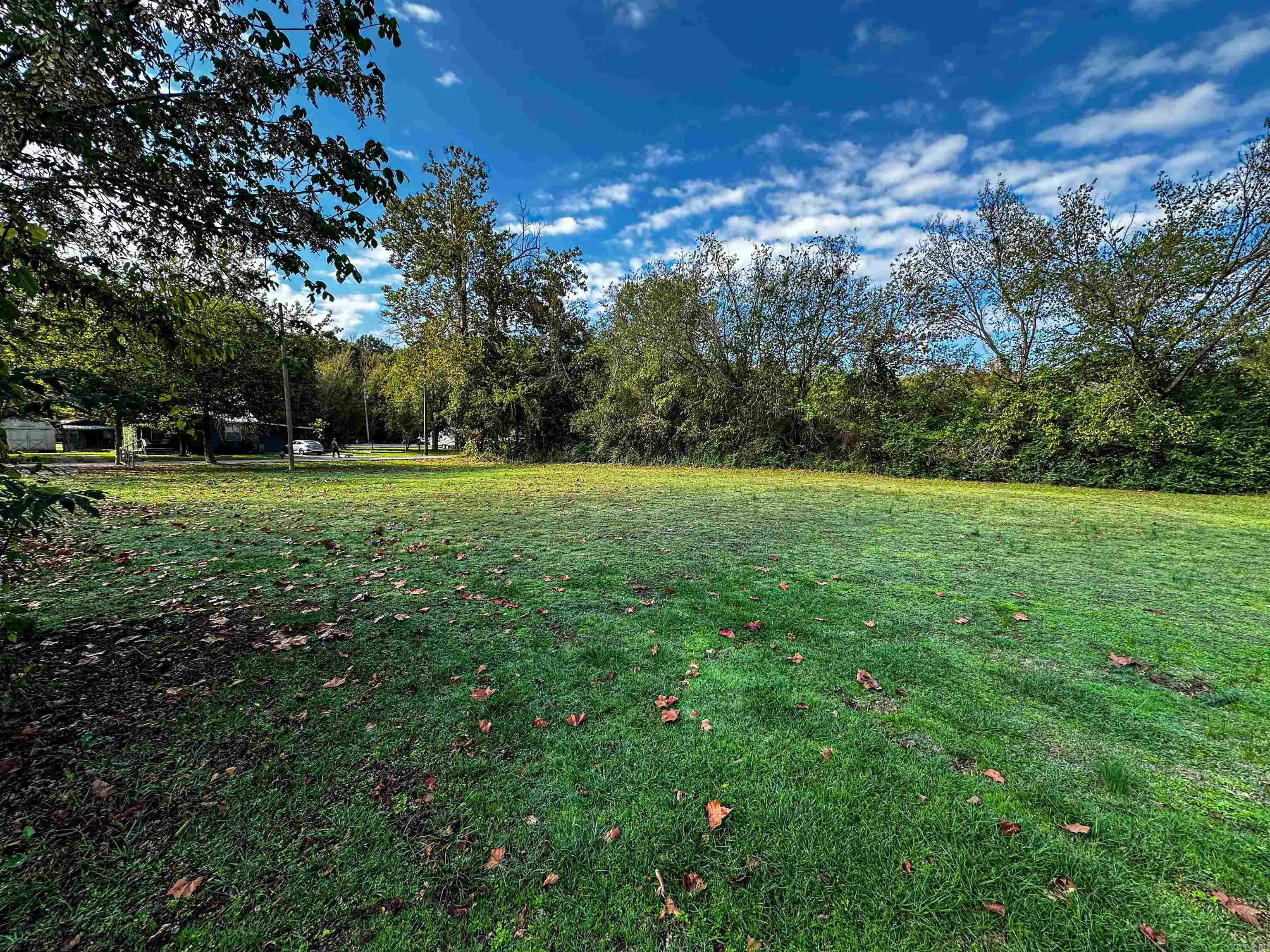 406 Cedar  Mountain View, AR