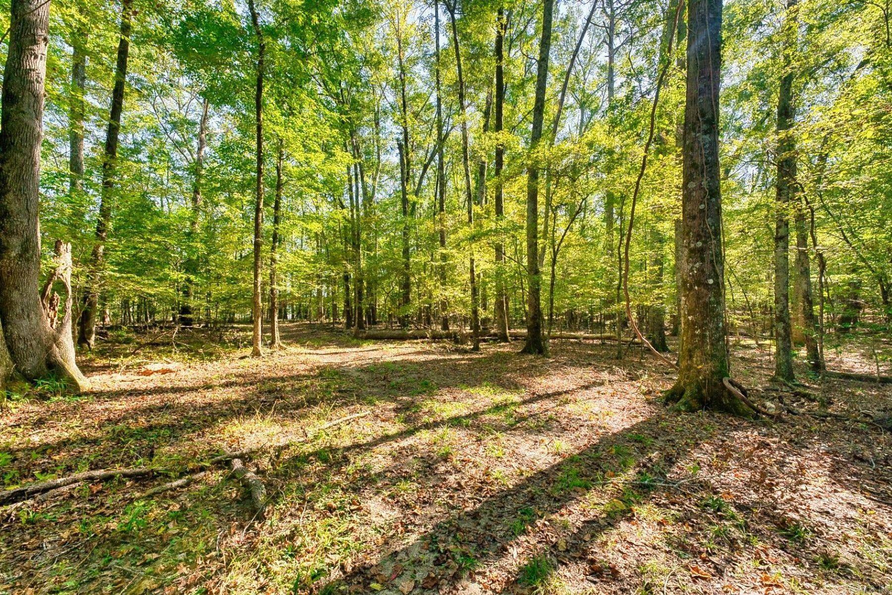 2601 Shady Grove Road  Hot Springs, AR