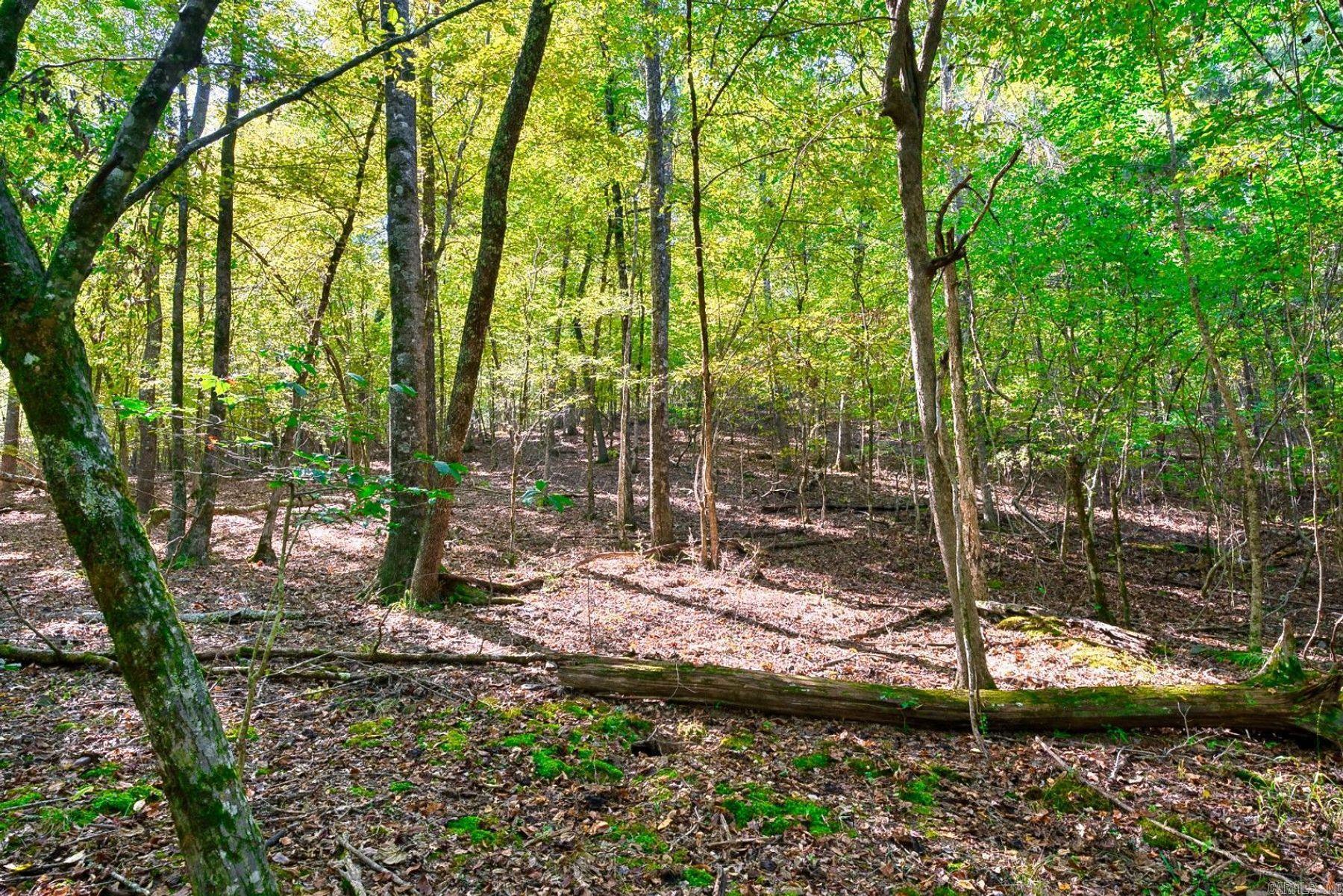 2601 Shady Grove Road  Hot Springs, AR