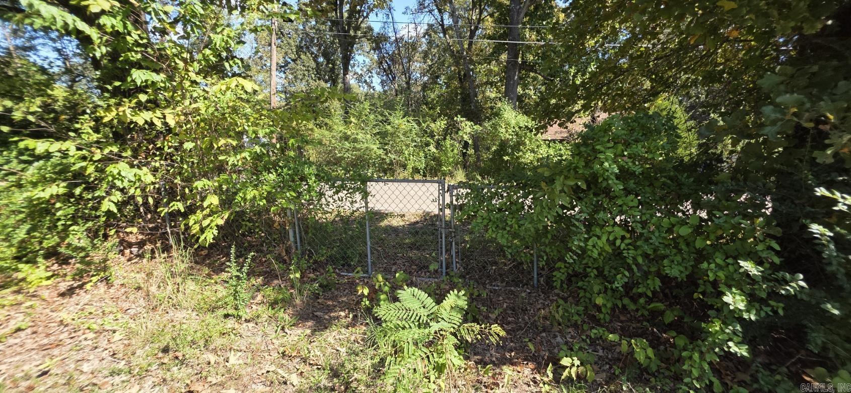 2060 Main  Mammoth Spring, AR