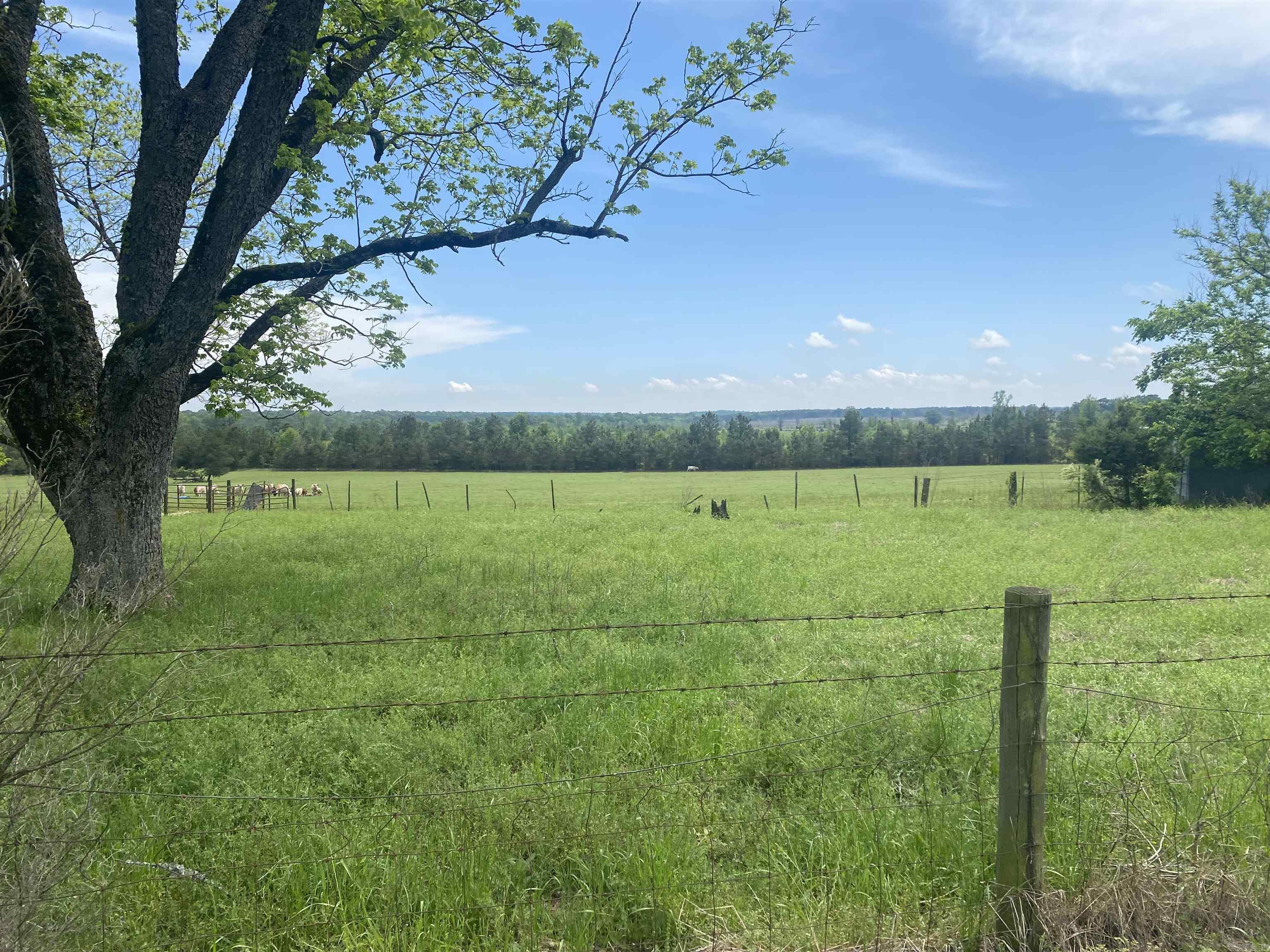 239 Hempstead 347  Nashville, AR