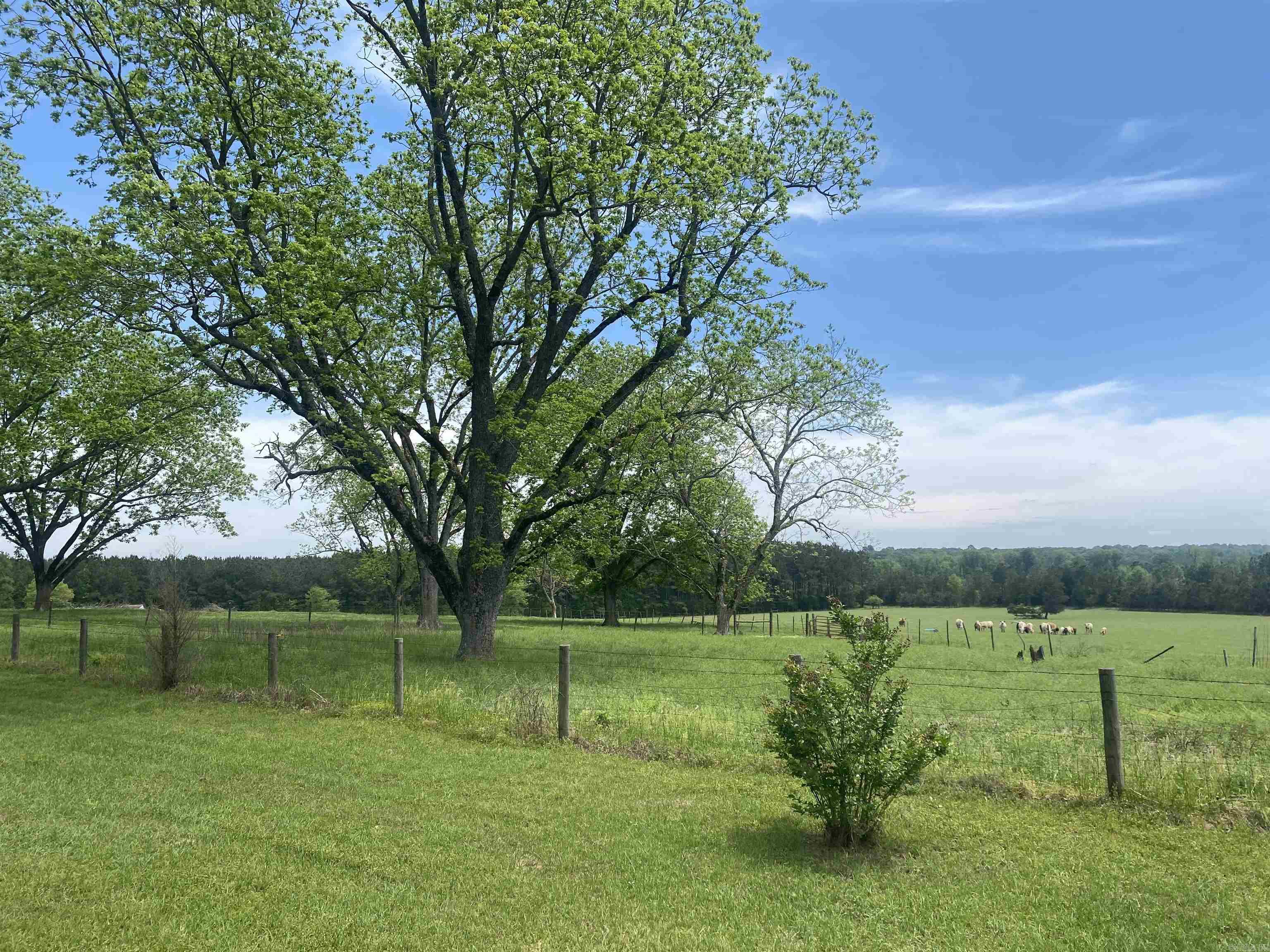 239 Hempstead 347  Nashville, AR