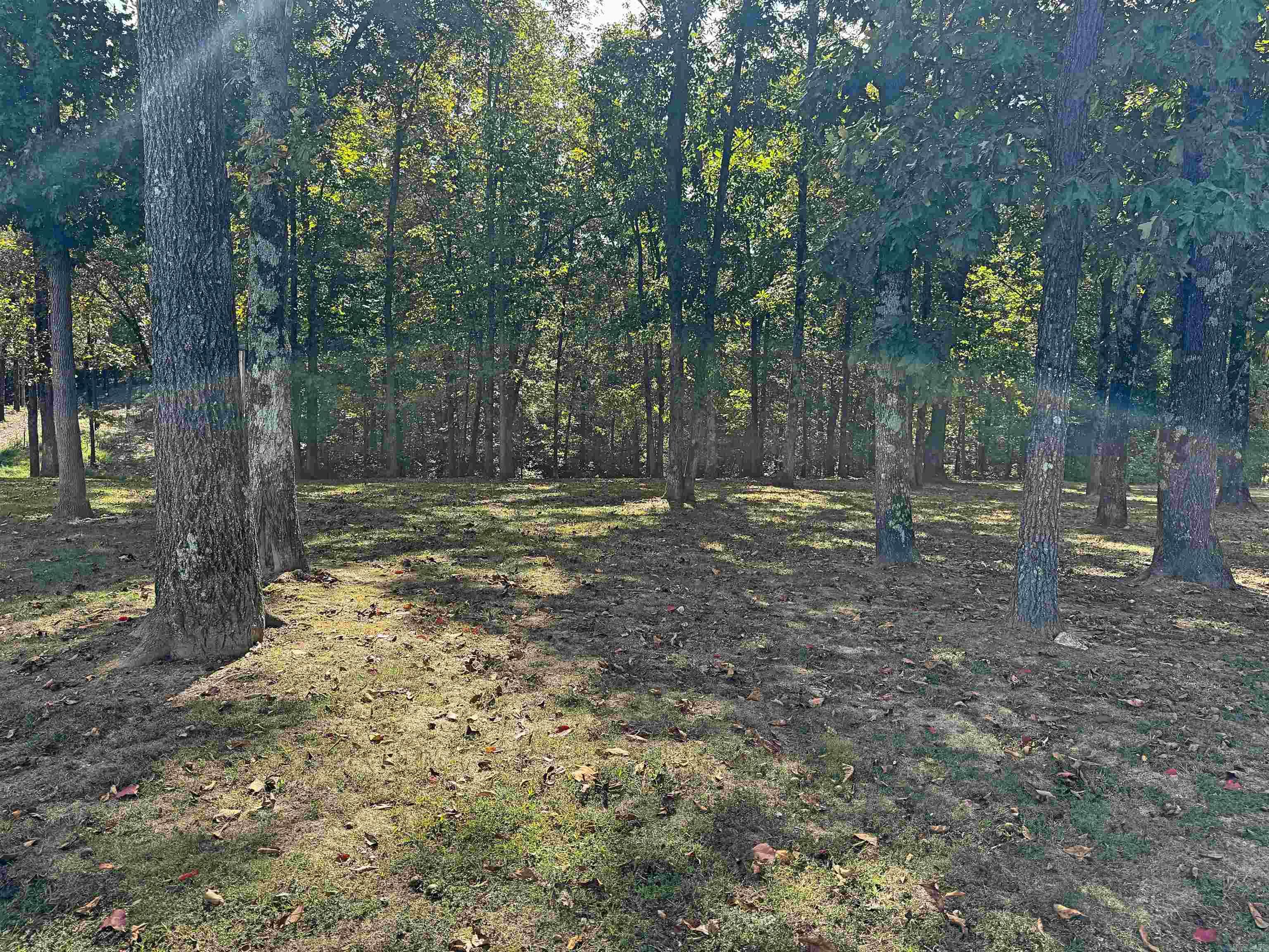 508 Harding Blvd Mountain View, AR 72560