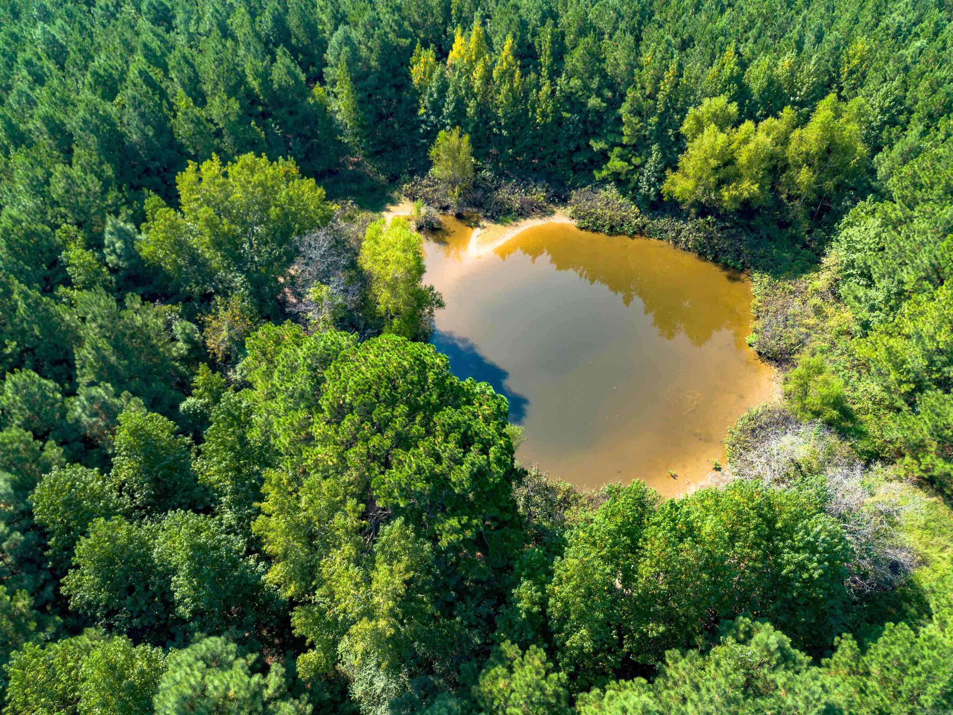 272 Hwy. 31  Romance, AR