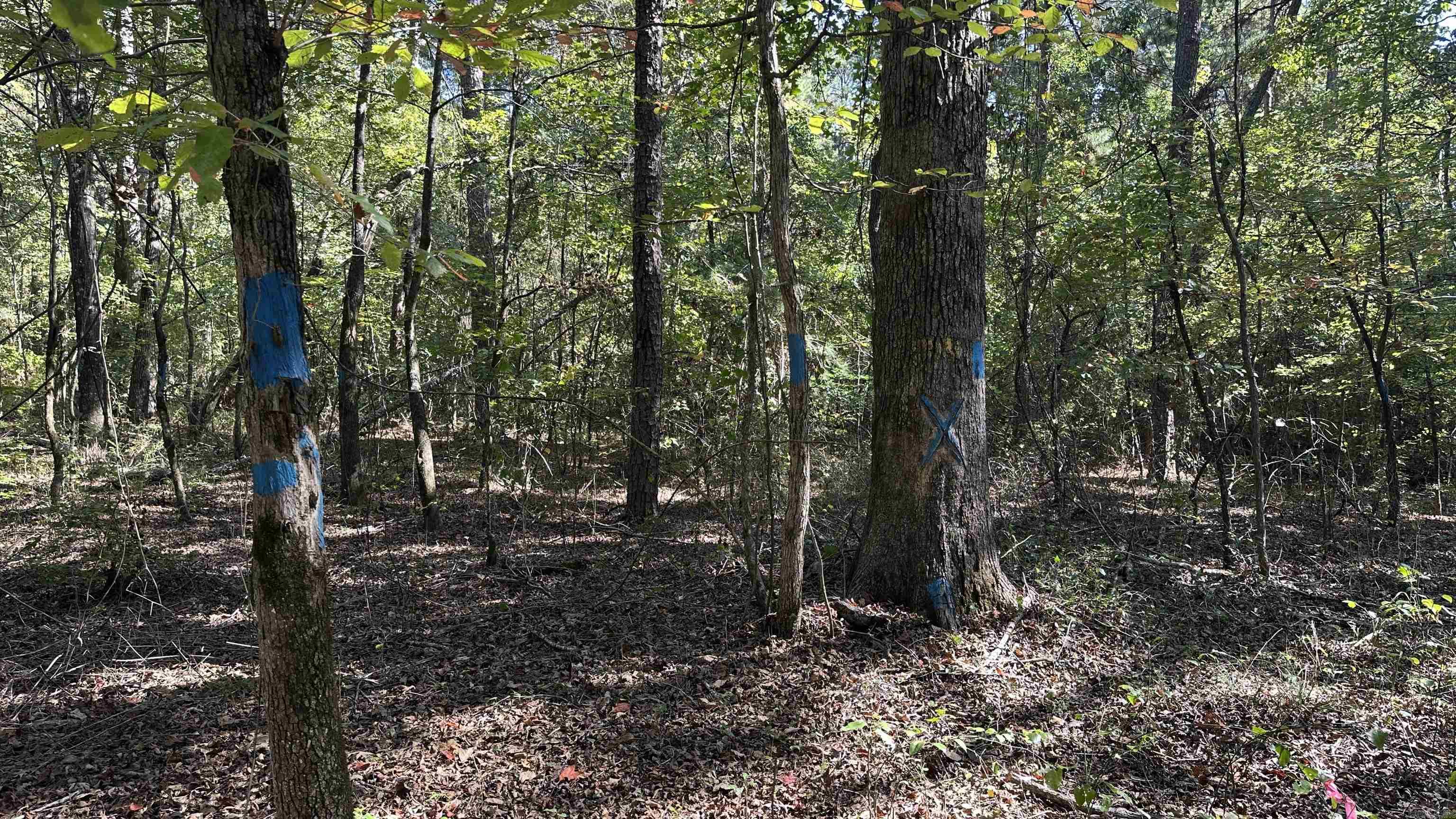 8911 Pine Meadow Dr.  Sulphur Springs, AR