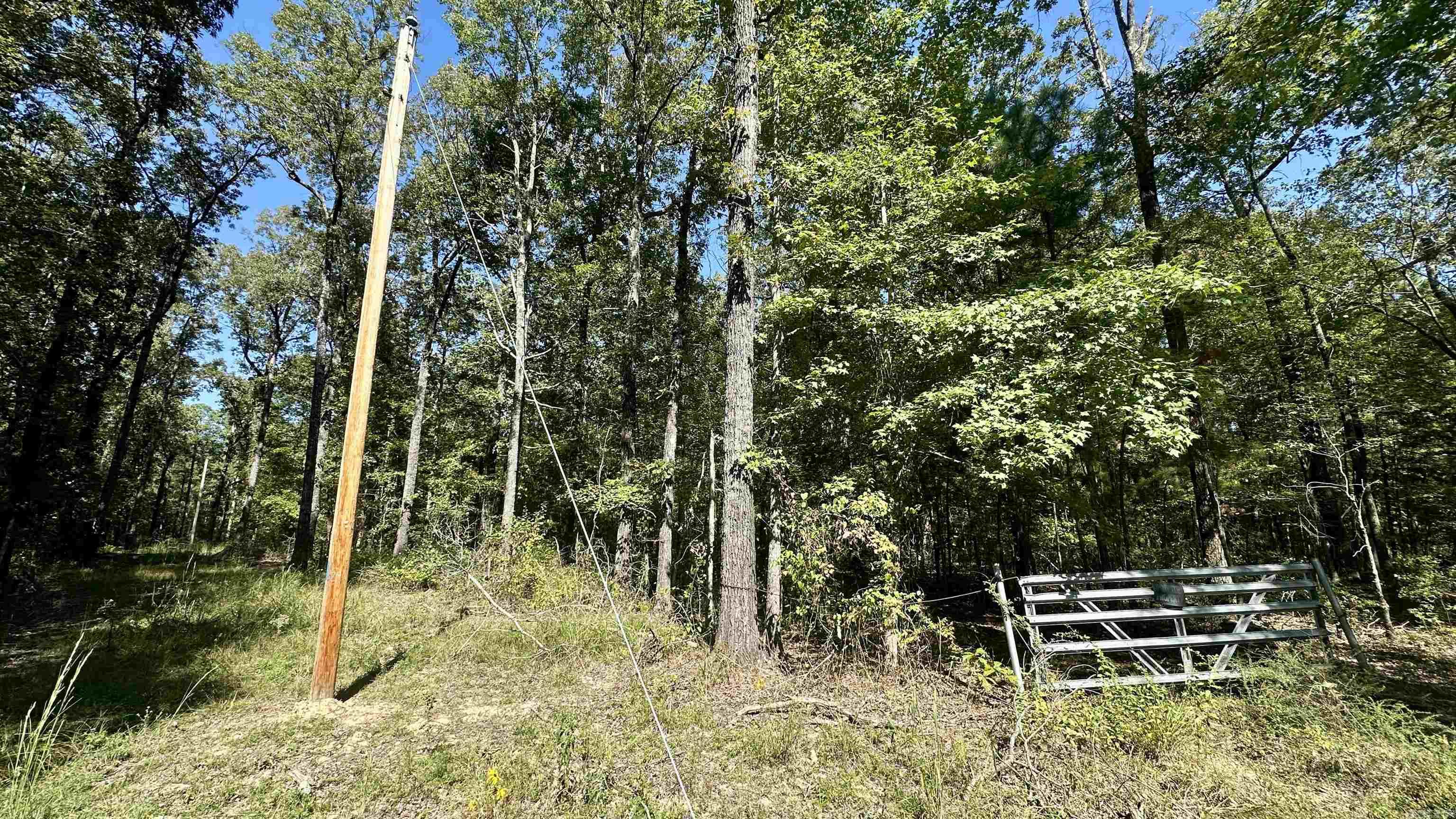 8911 Pine Meadow Dr.  Sulphur Springs, AR