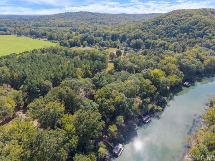 176 River Mist Drive Pangburn, AR 72143