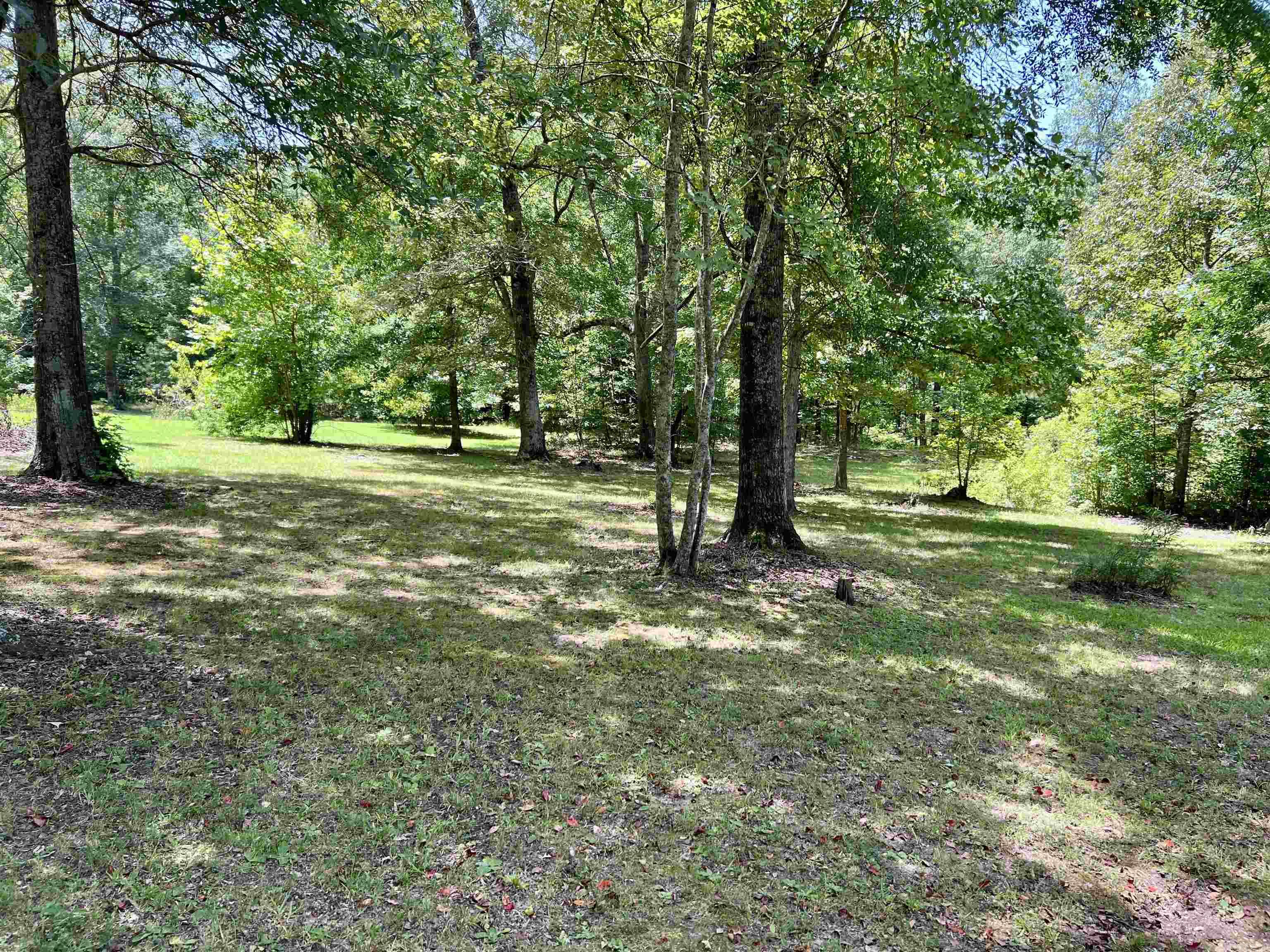 153 Thompson Road  Arkadelphia, AR