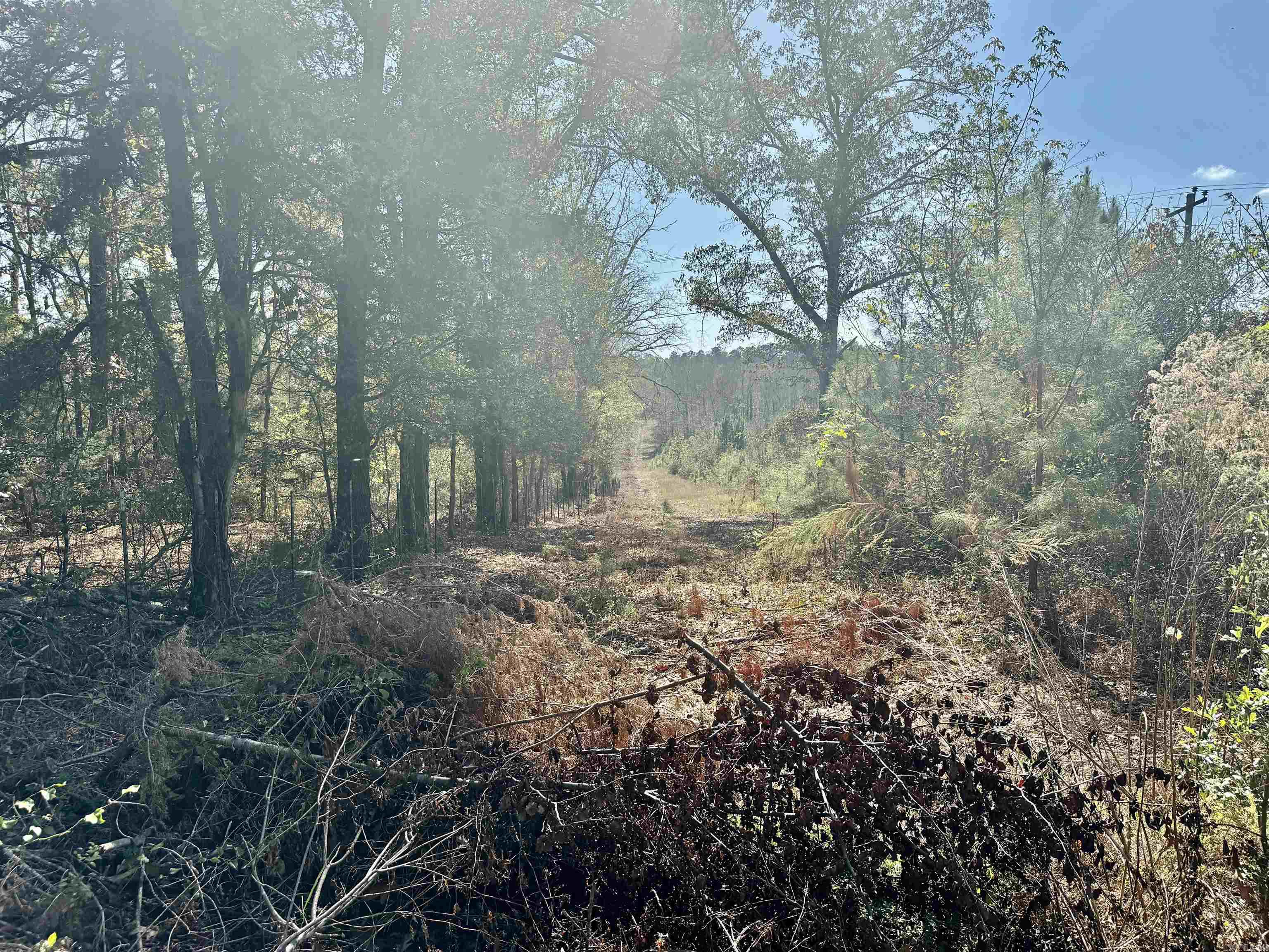 987 Walker  Amity, AR