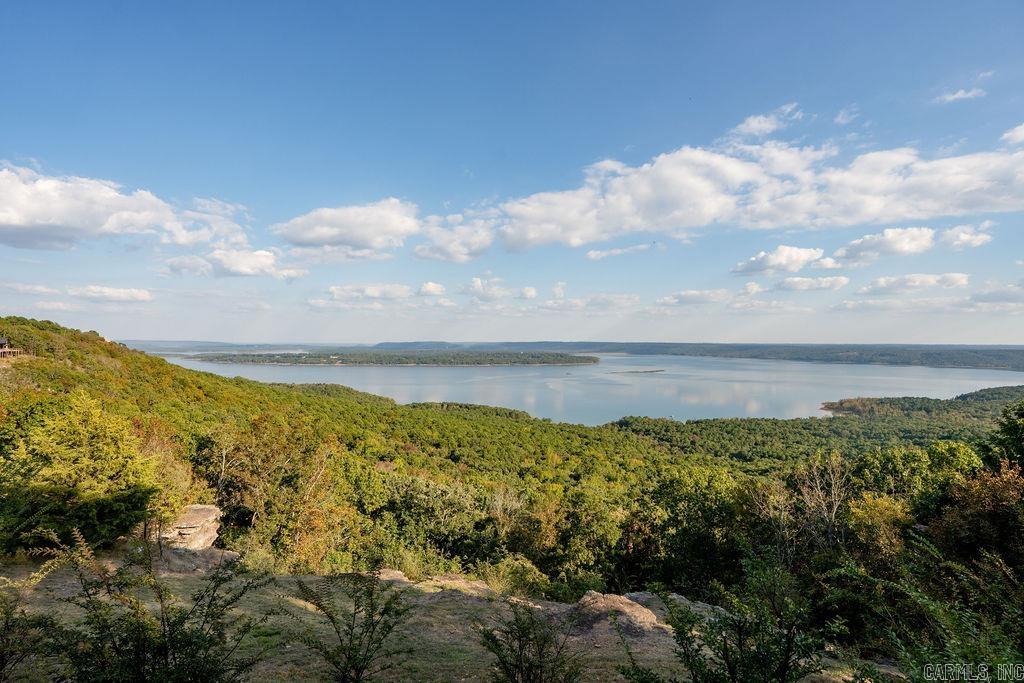 75 E Bluff Drive Quitman, AR 72131