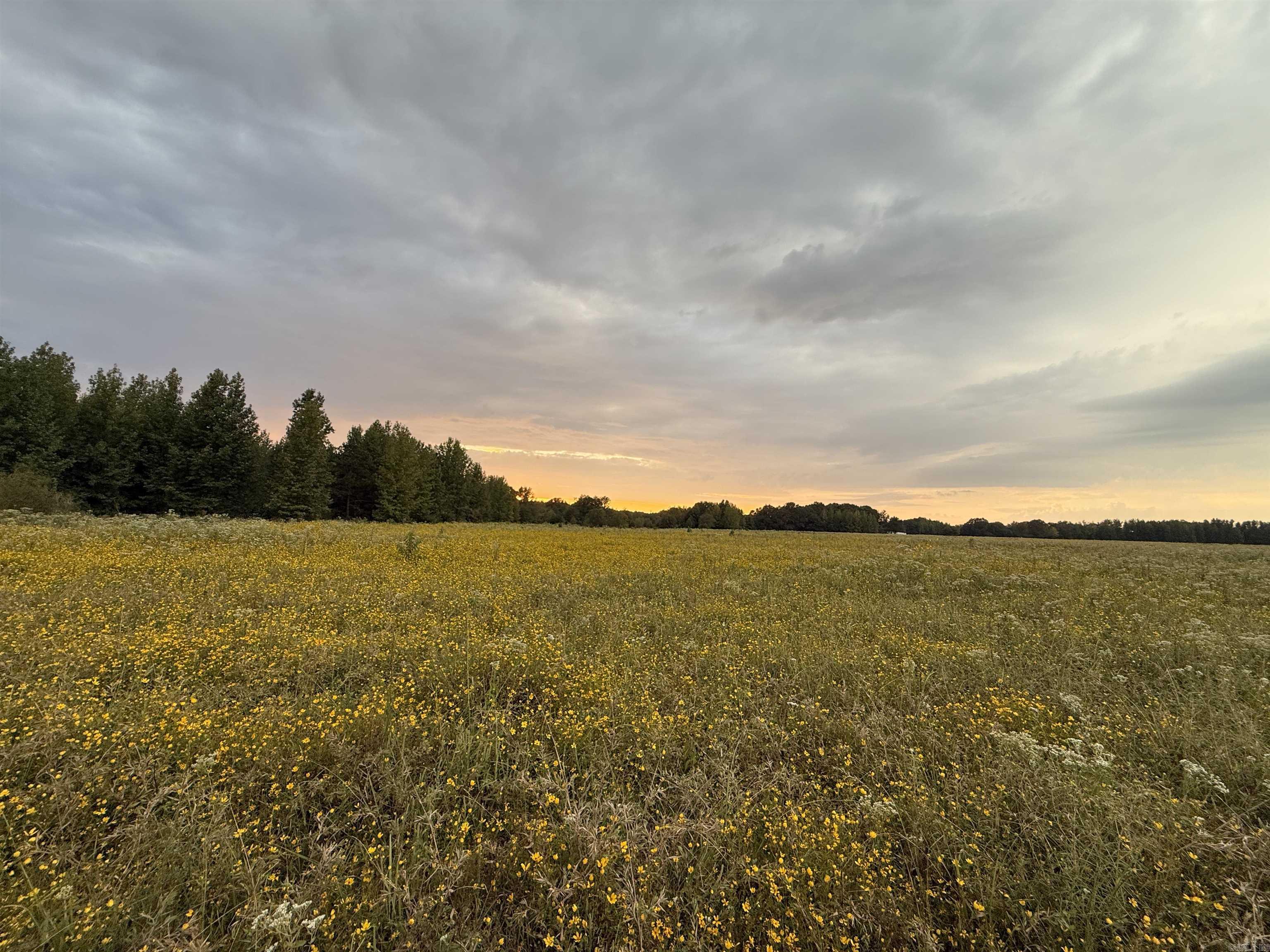 000 Gillham Rd.  Beebe, AR