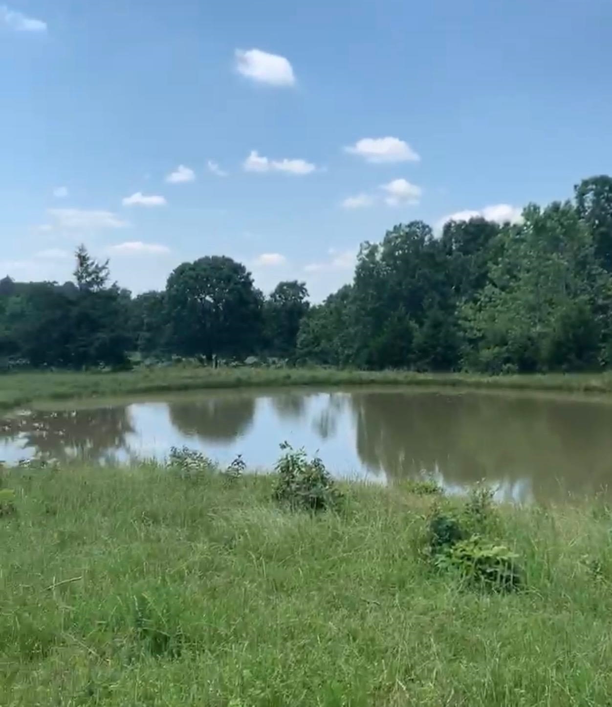 3013-3015 Possum Trot  Ash Flat, AR