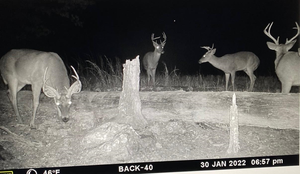 3013-3015 Possum Trot  Ash Flat, AR