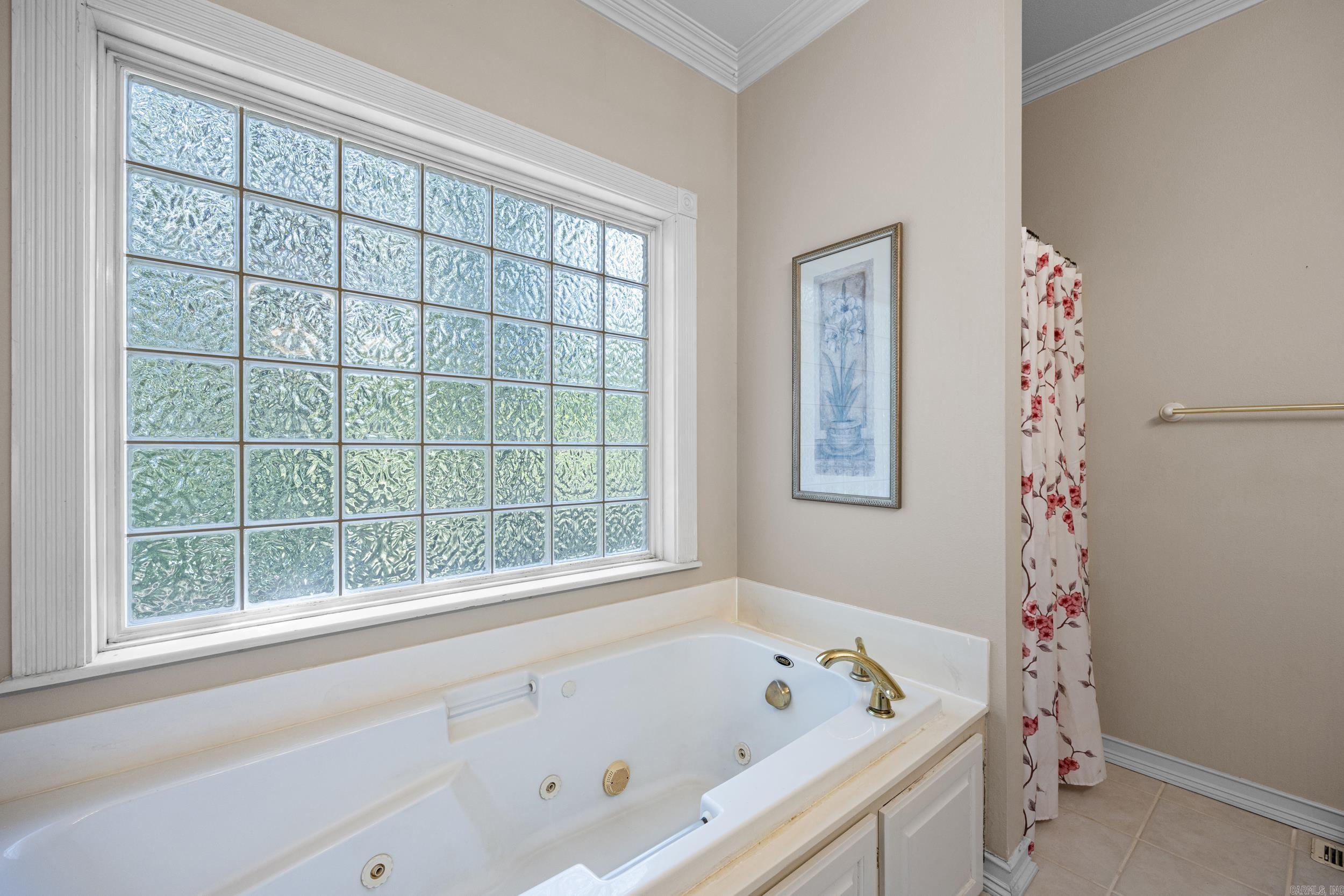 10237 Carter Cove  Plainview, AR