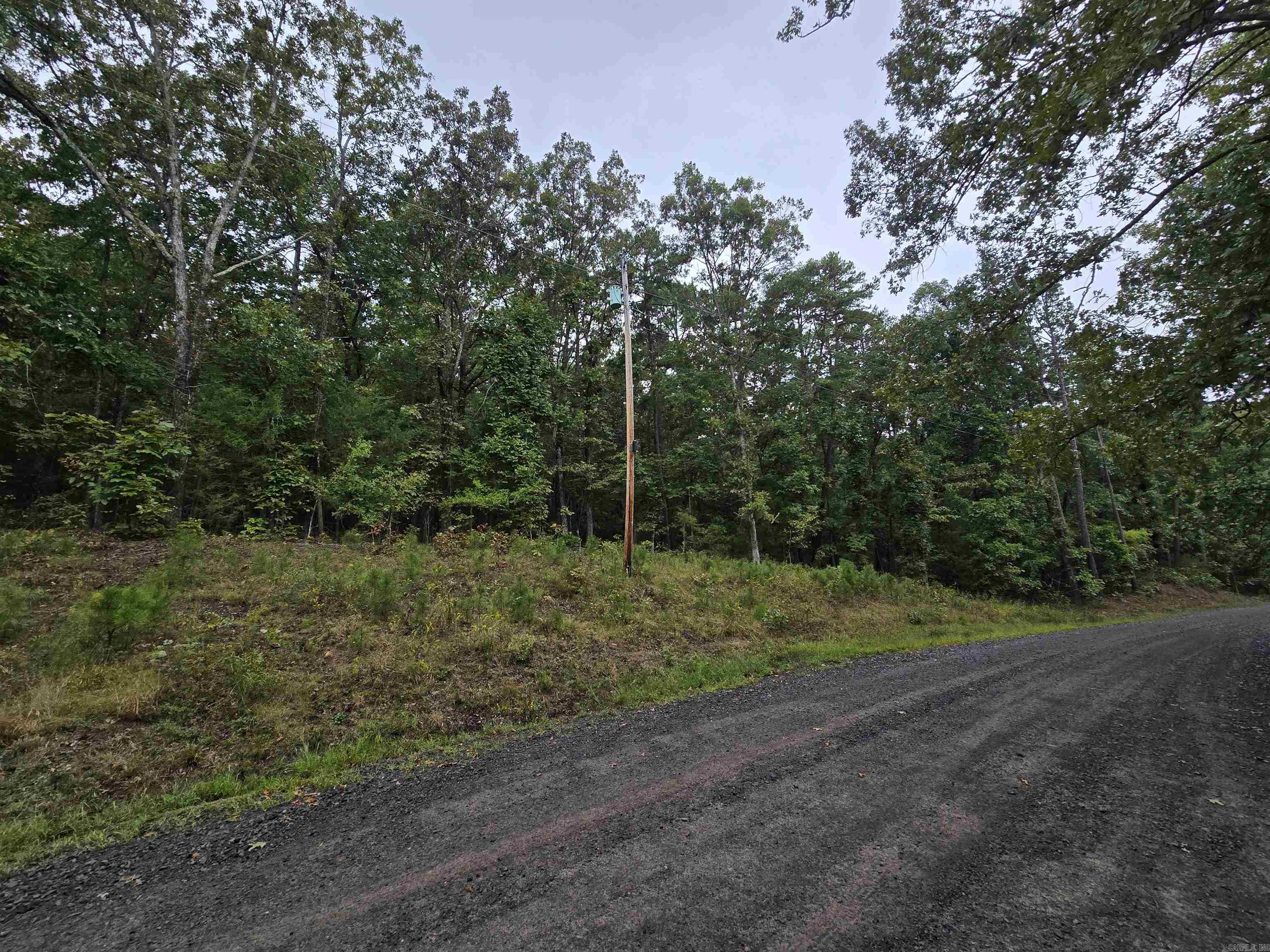 0 Jimmerson  Higden, AR