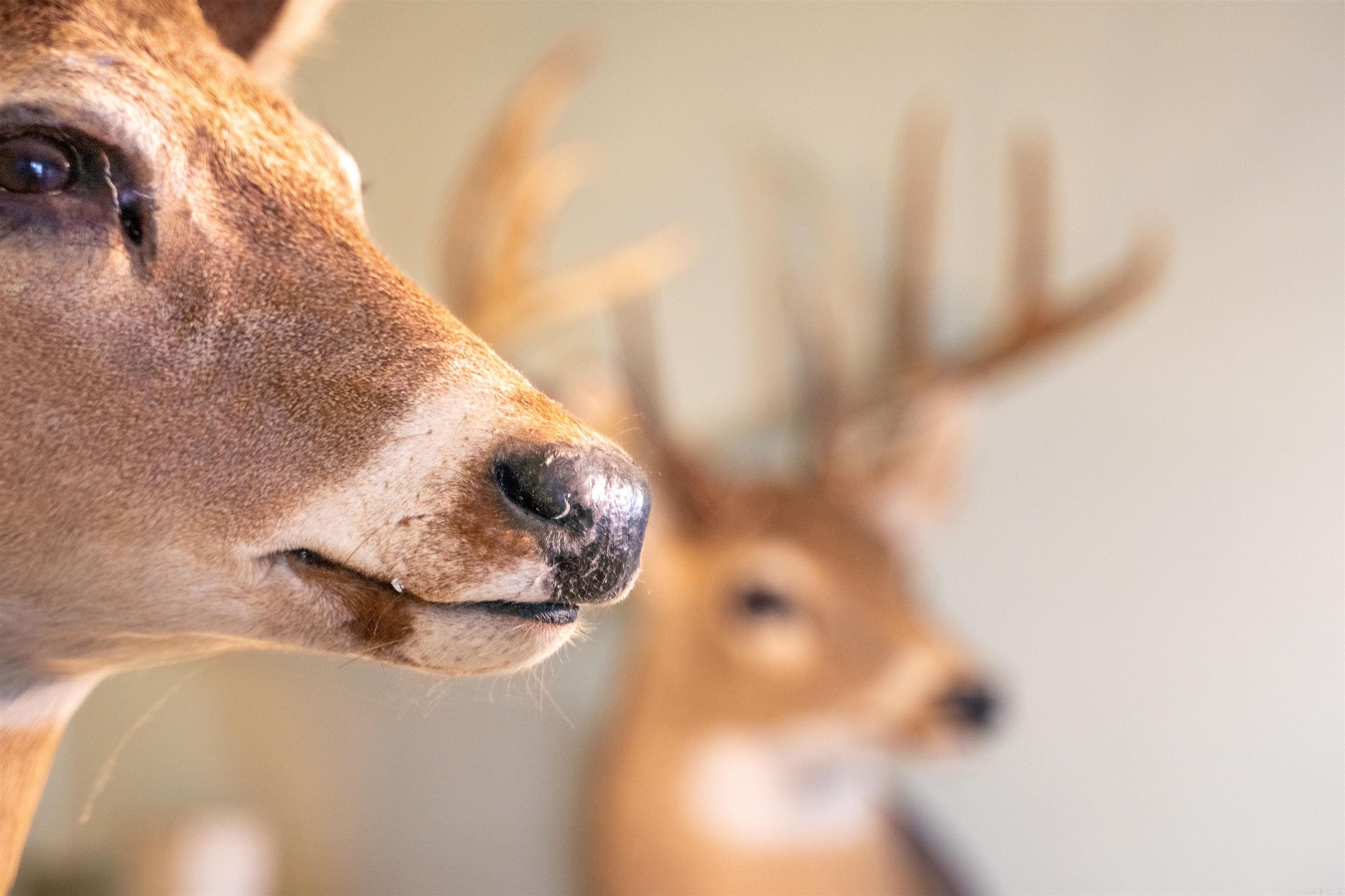 8506 hwy 37  McCrory, AR