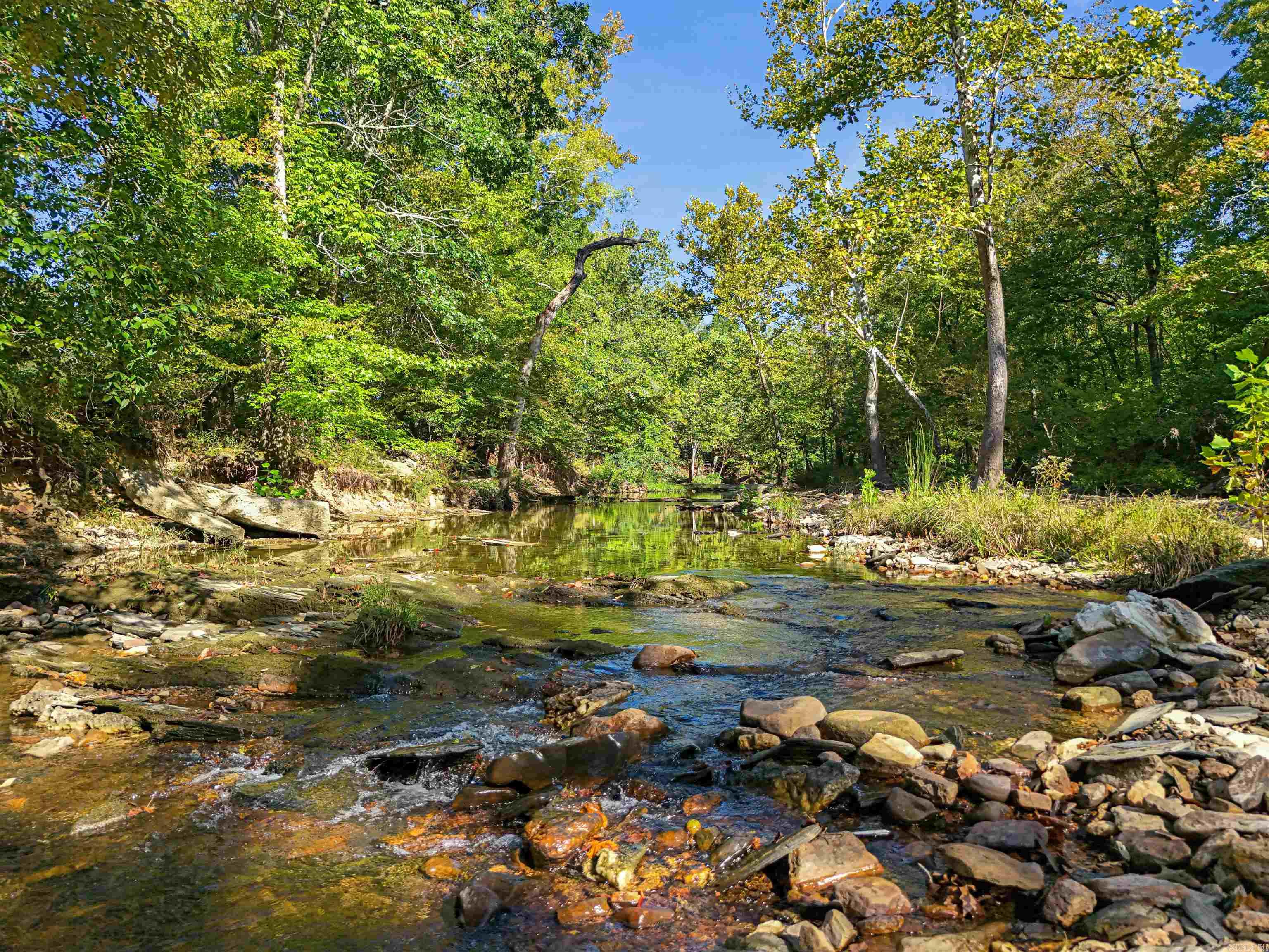 217 Talley Cemetery  Jessieville, AR