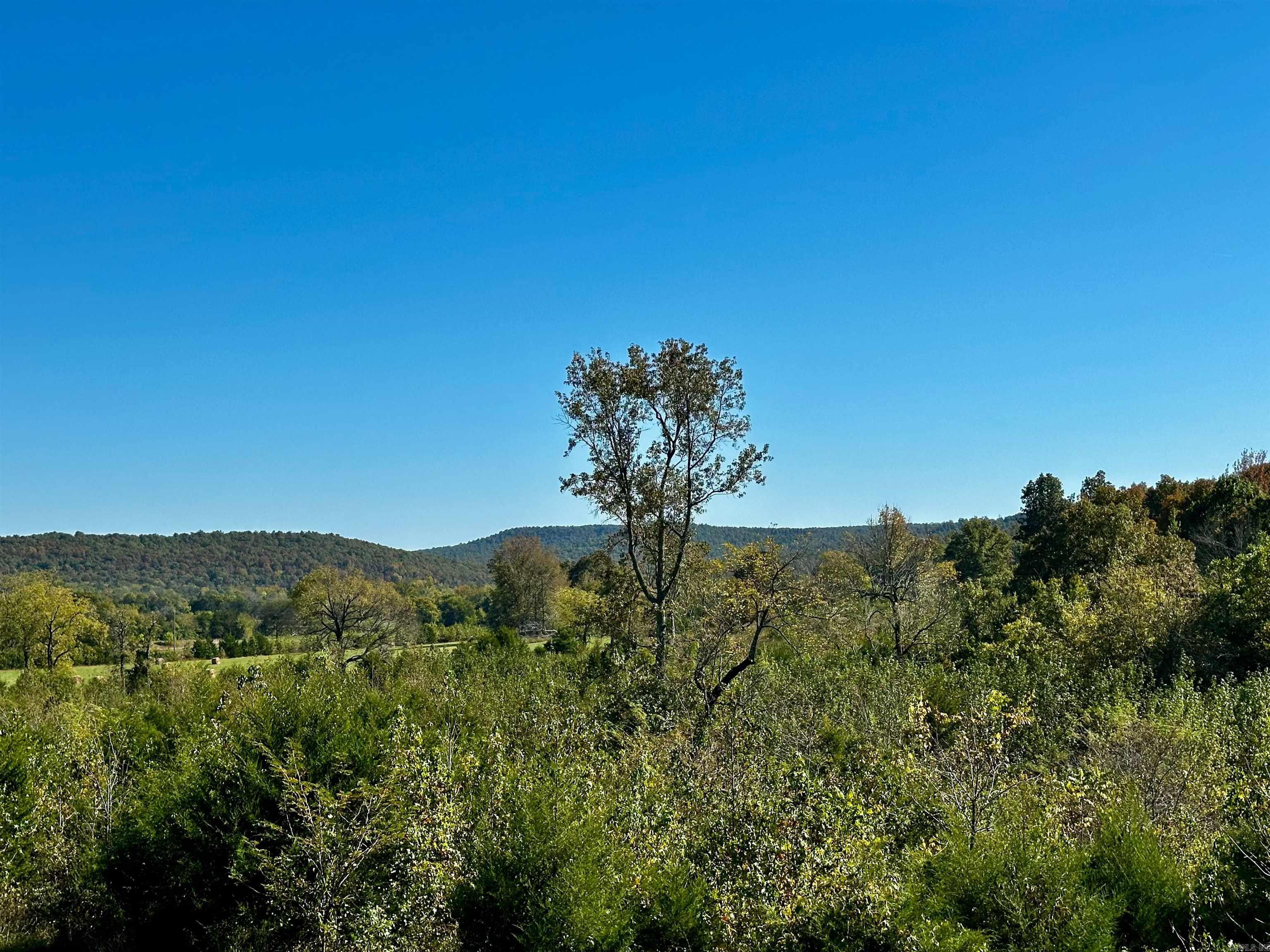 185 Sugar Hill  Mountain View, AR