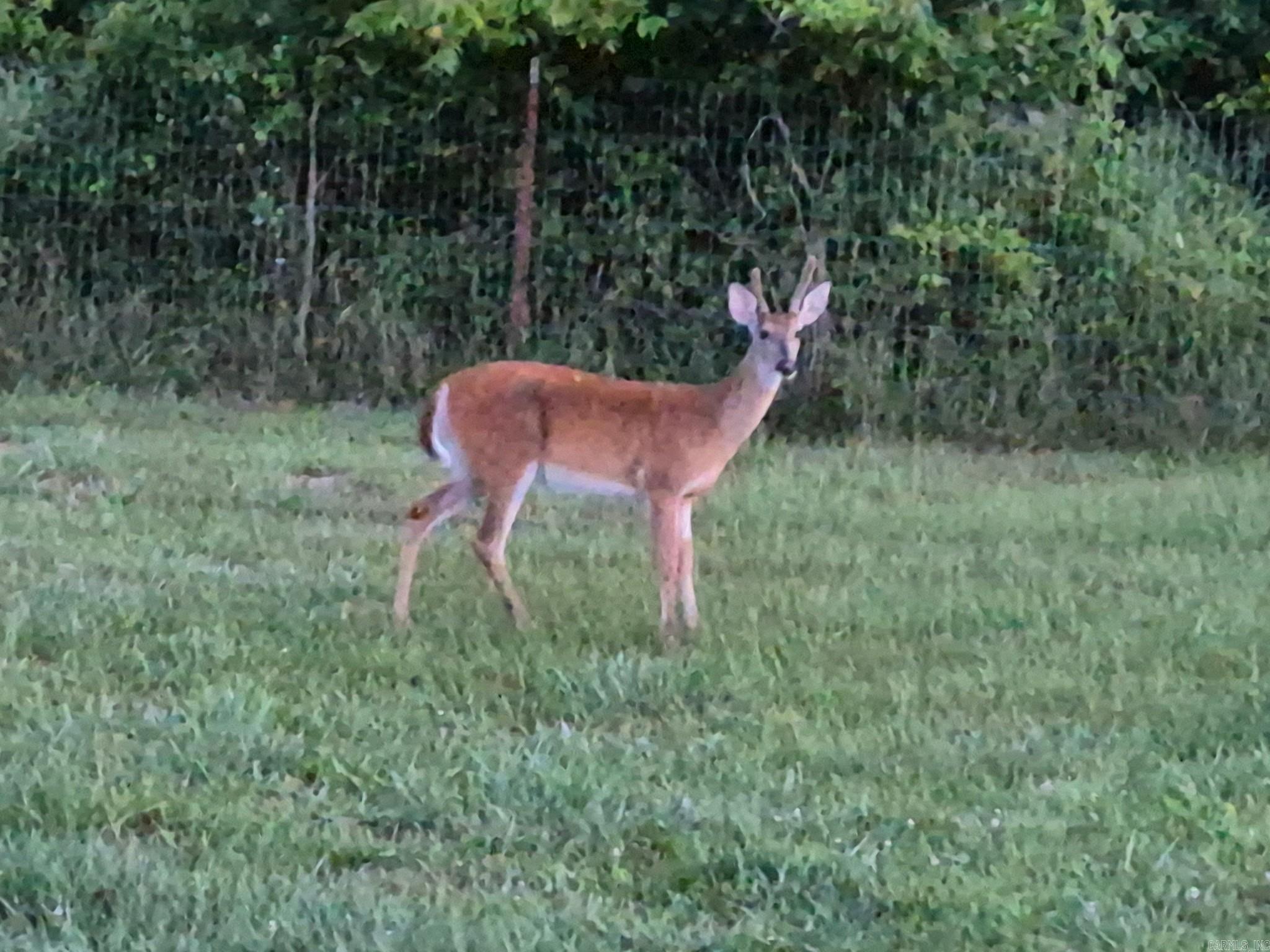 185 Sugar Hill  Mountain View, AR