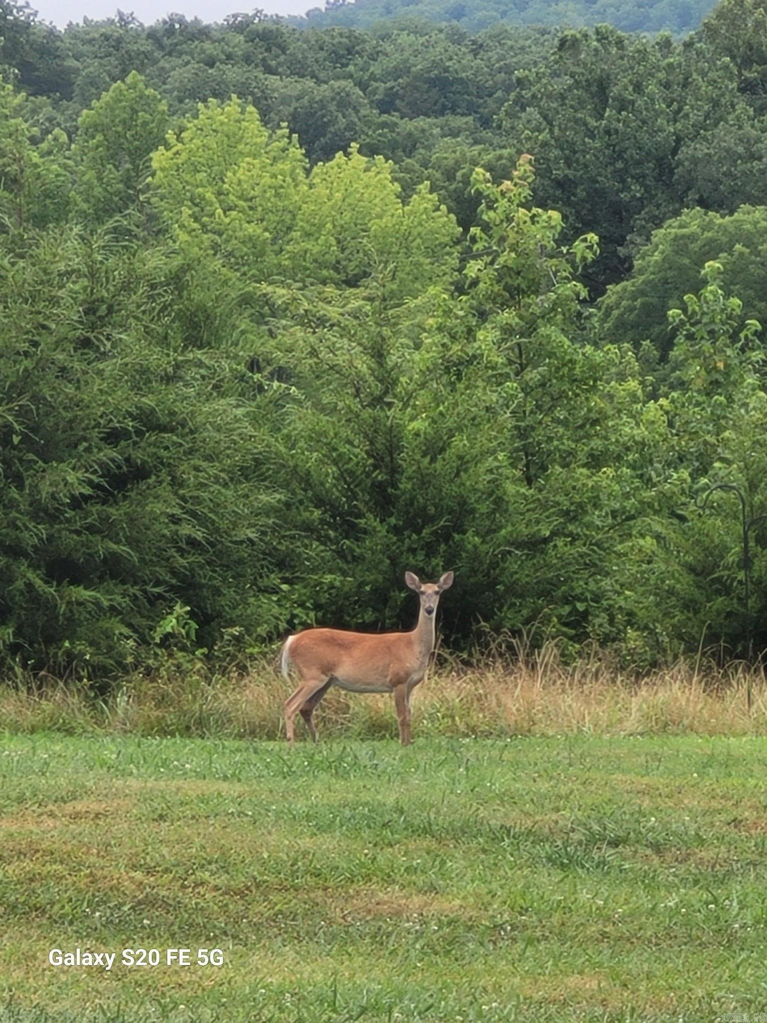 185 Sugar Hill  Mountain View, AR