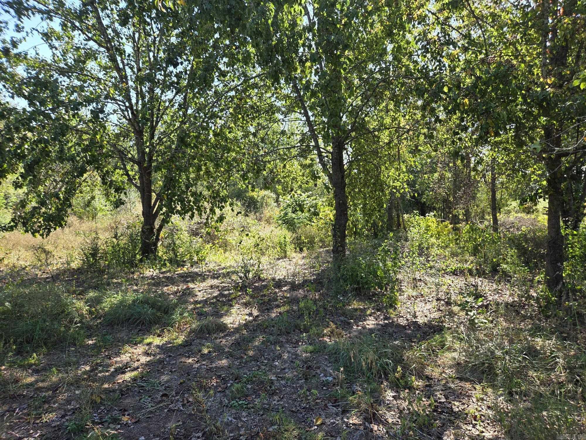 2735 Floral  Floral, AR