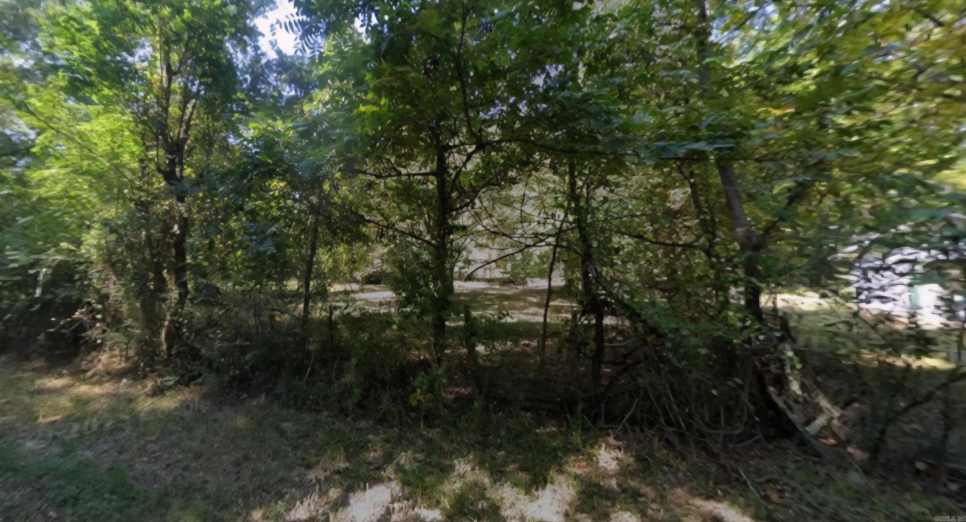 Lot 1-2 S Oak  Fordyce, AR