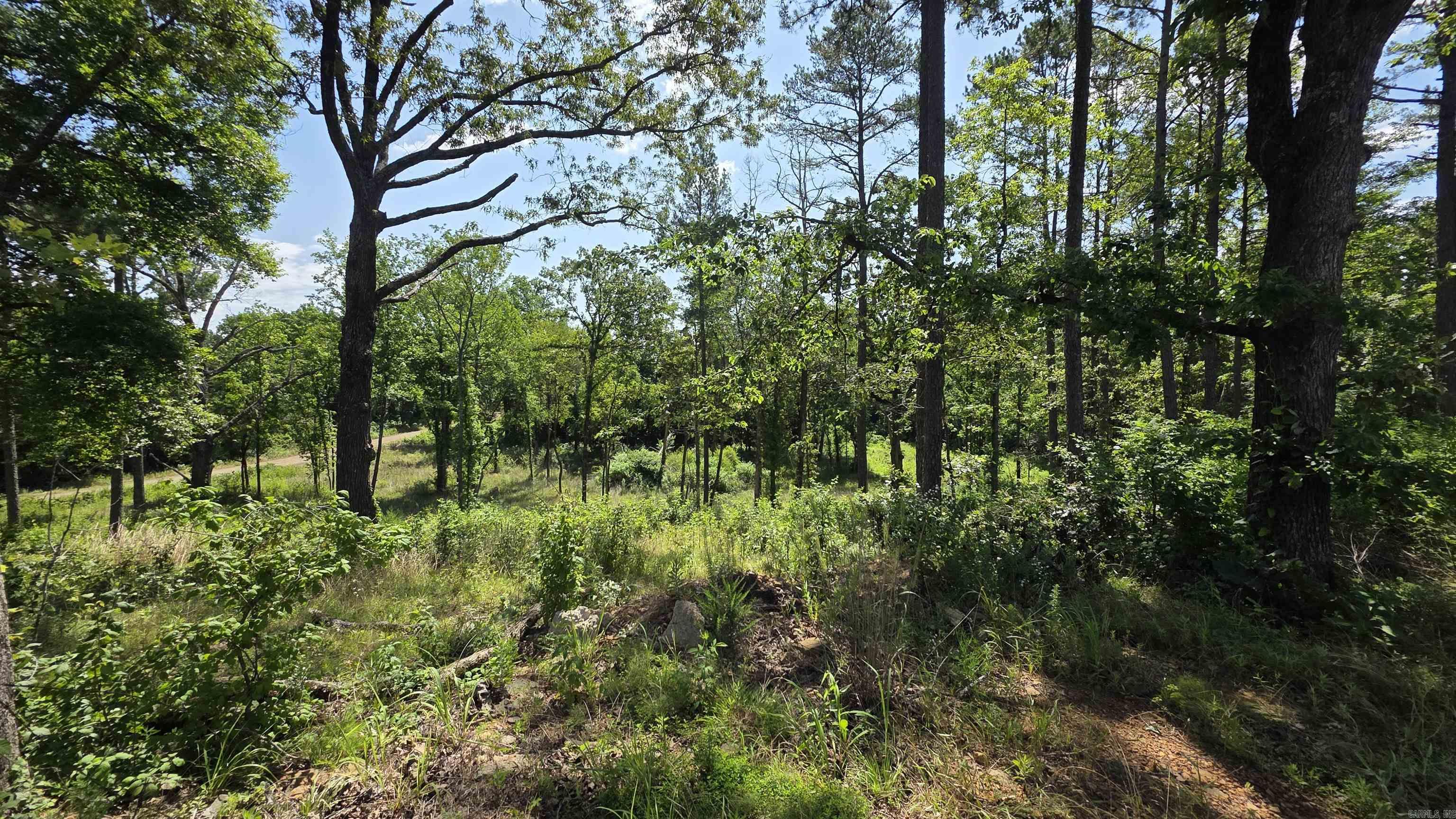 162 E Middleton Road Center Ridge, AR 72027