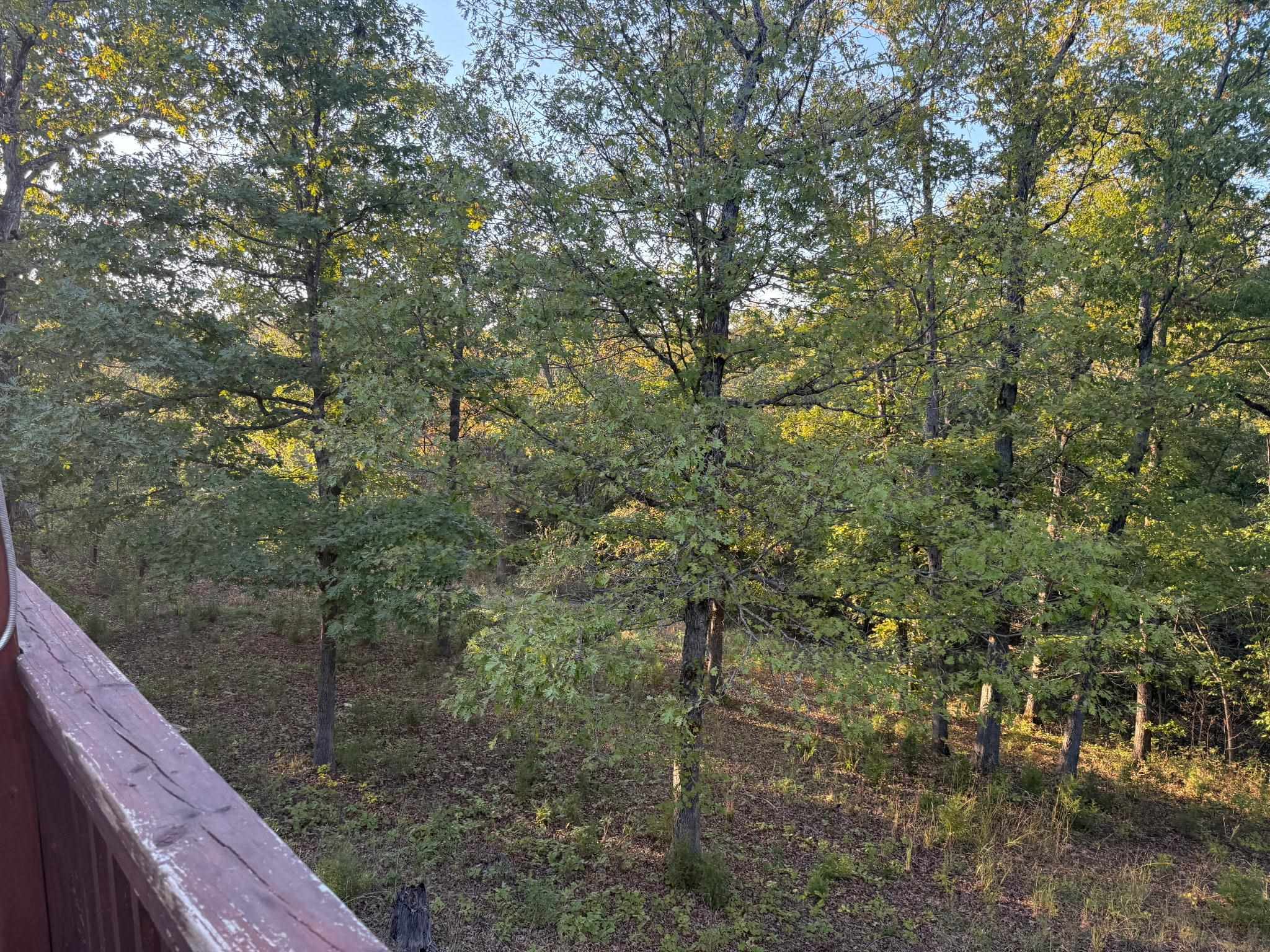 6589 Mount Calm Rd  Gepp, AR