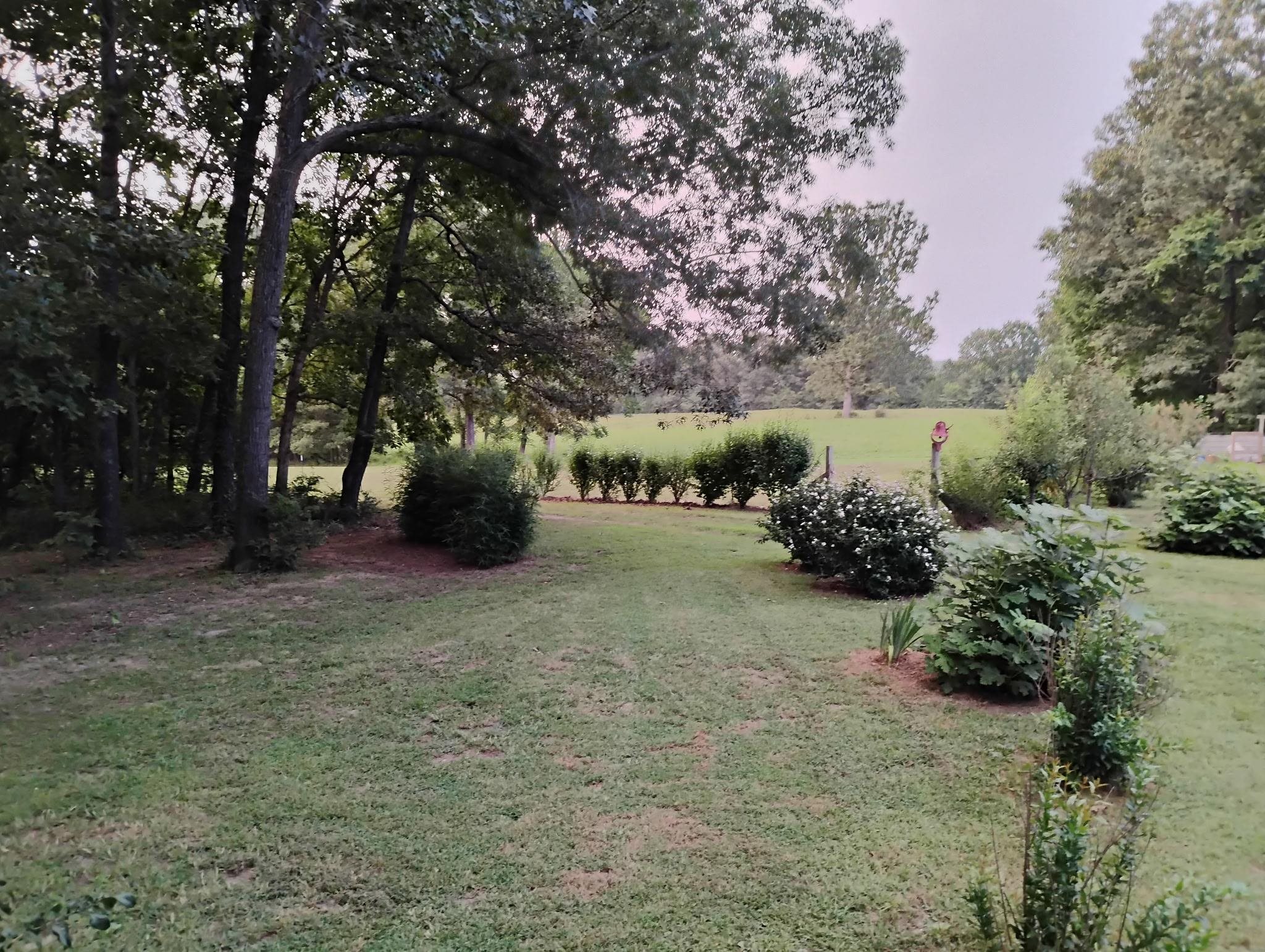 661 Cricket Pass Road  Camp, AR