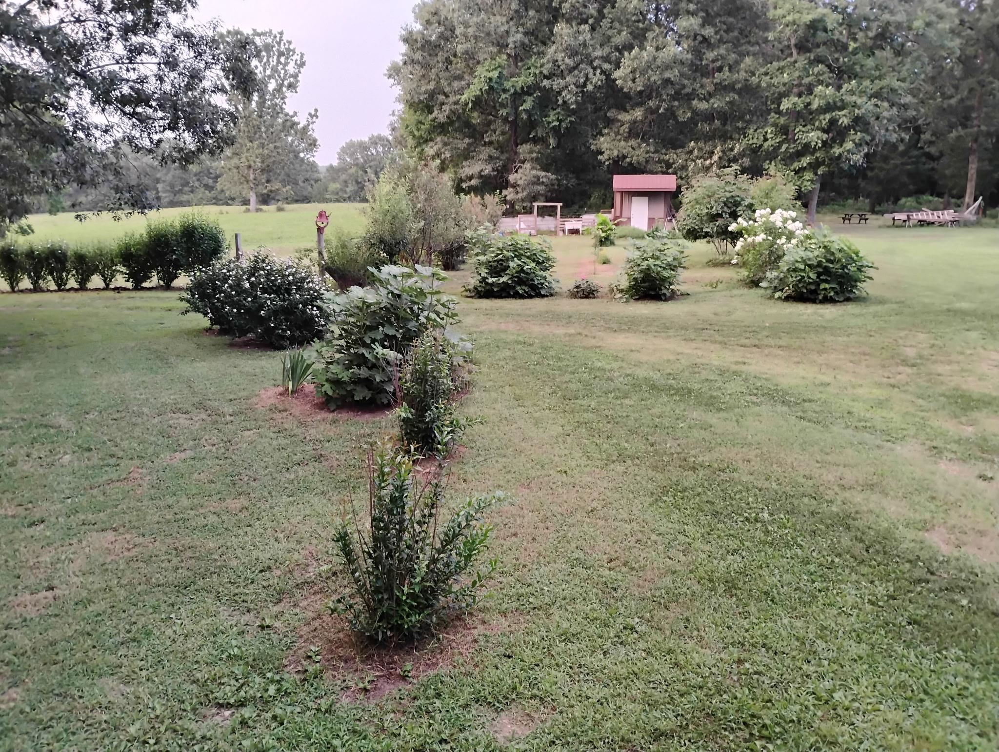 661 Cricket Pass Road  Camp, AR